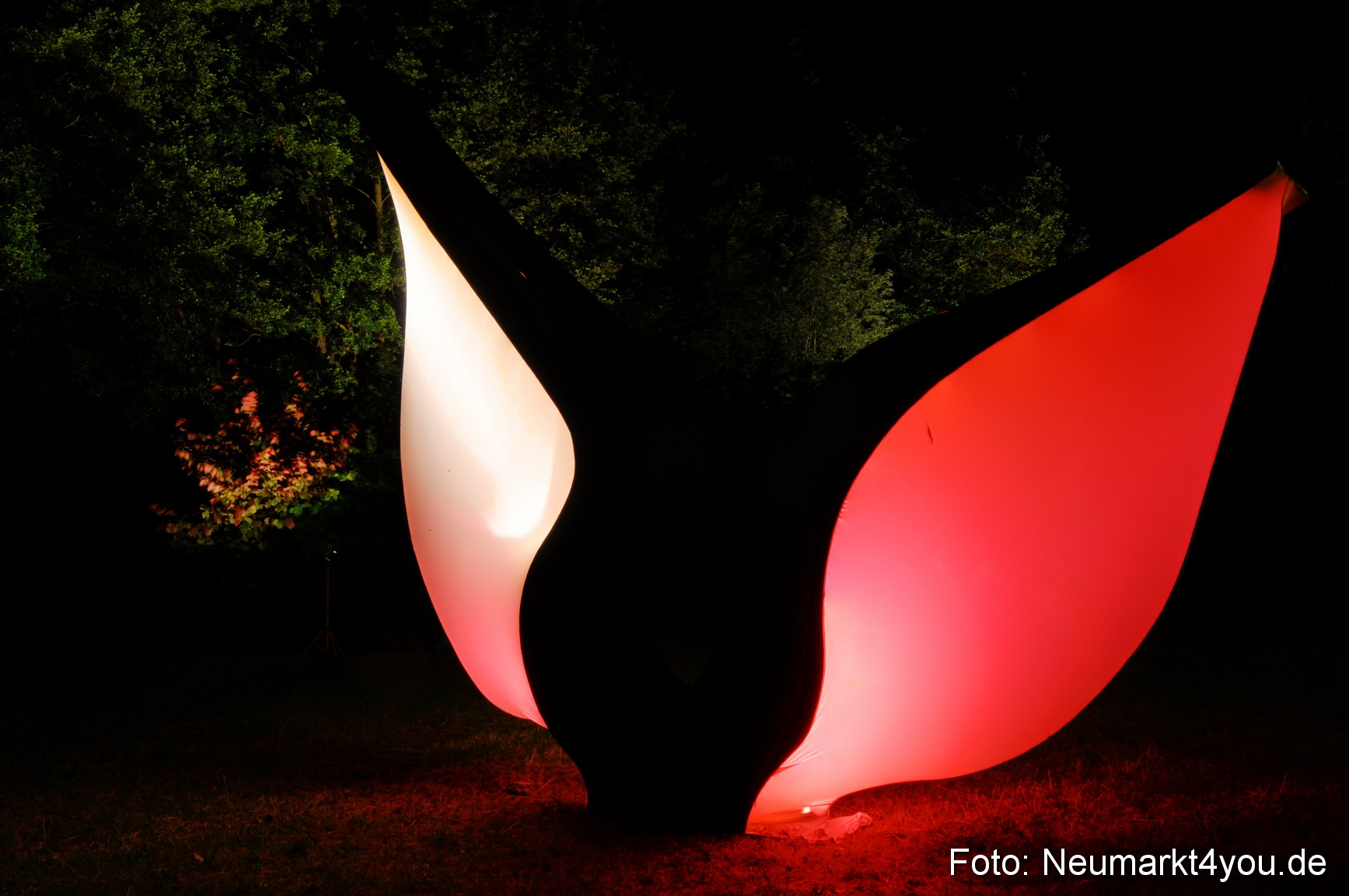 0064 Berchinale 190609