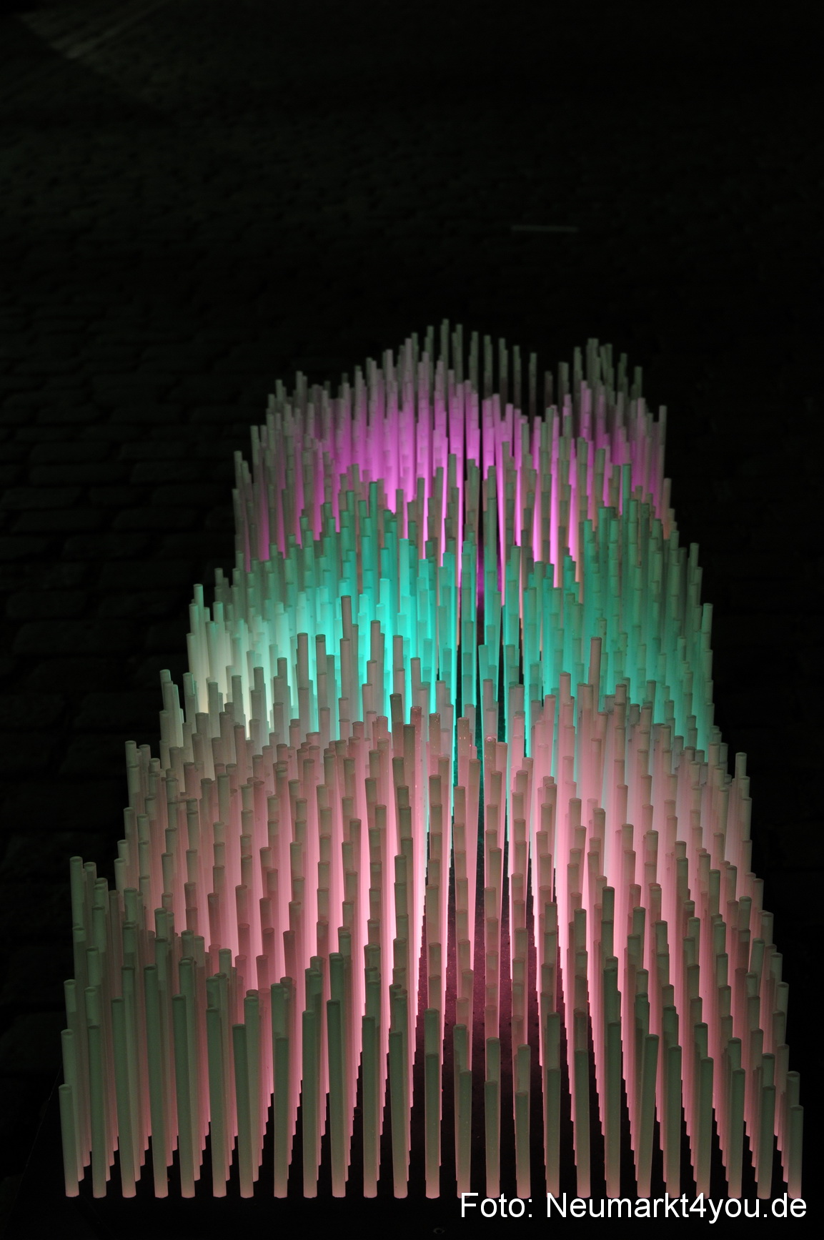 0074 Berchinale 190609