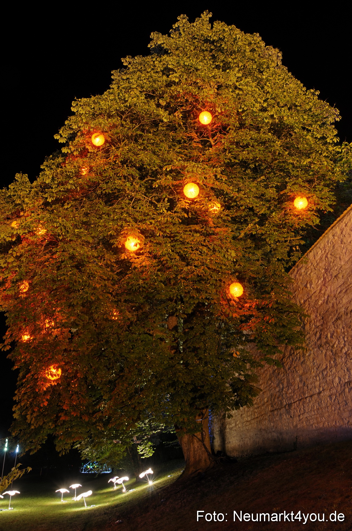 0080 Berchinale 190609