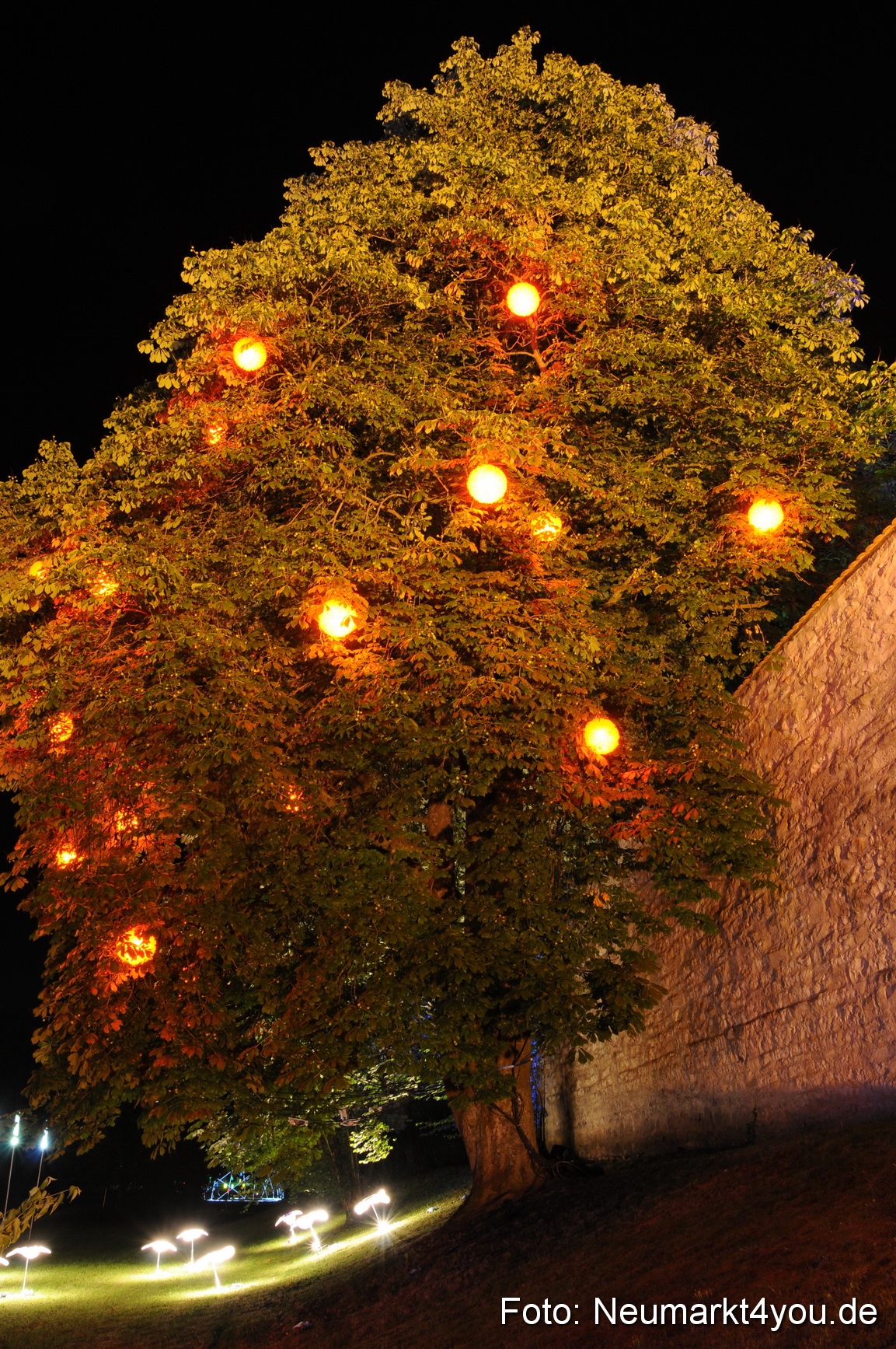 0081 Berchinale 190609