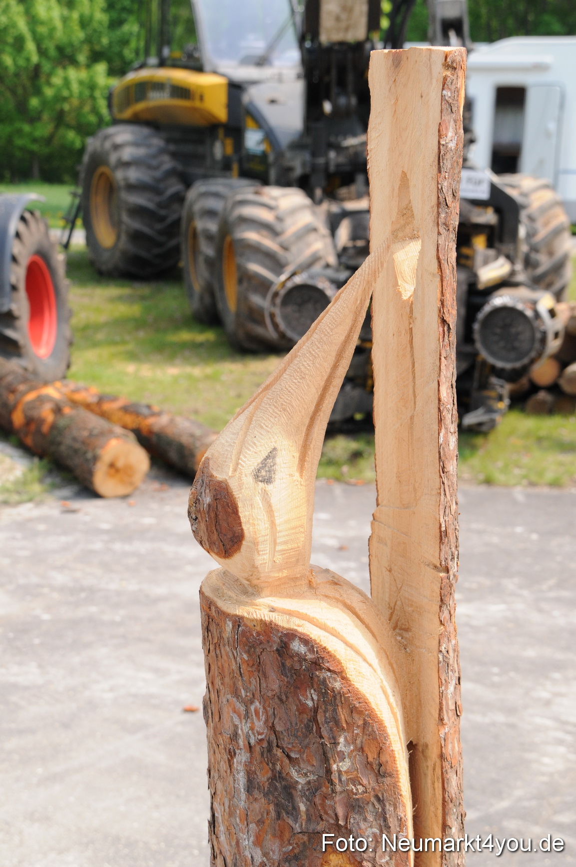 Fruehlingsfest 010509 0010