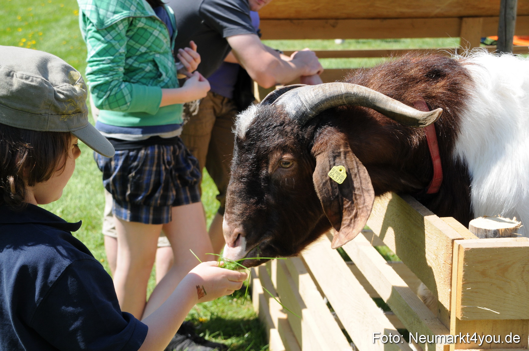 0004 Eselrennen Neumarkt 030509