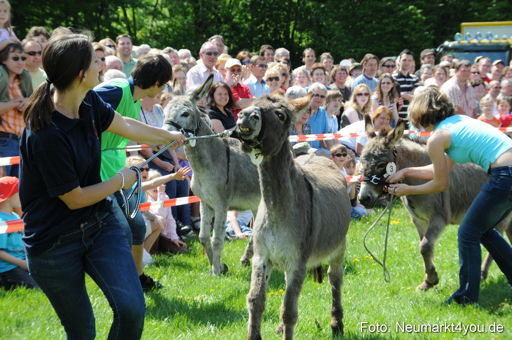 0023 Eselrennen Neumarkt 030509