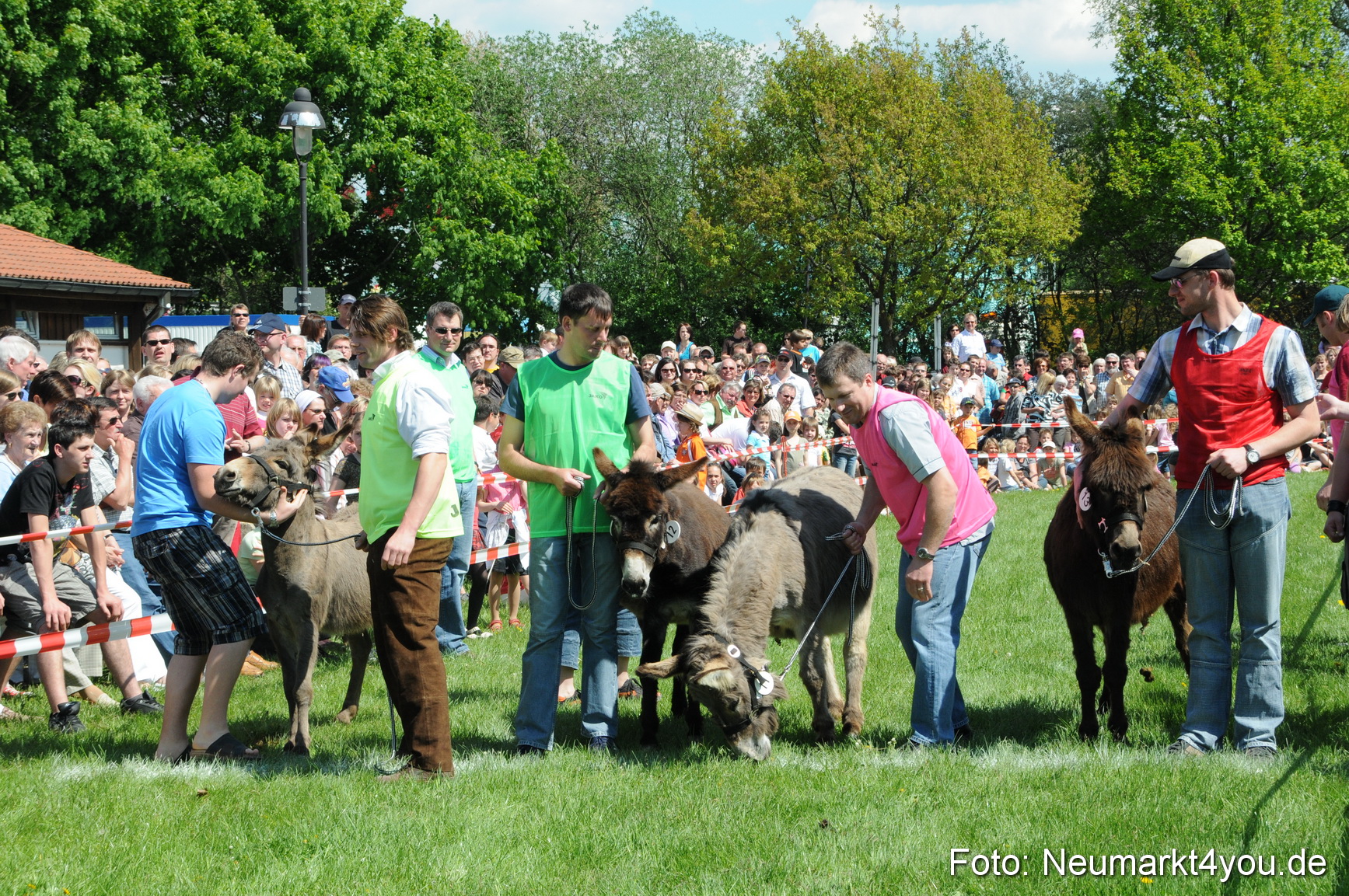 0032 Eselrennen Neumarkt 030509
