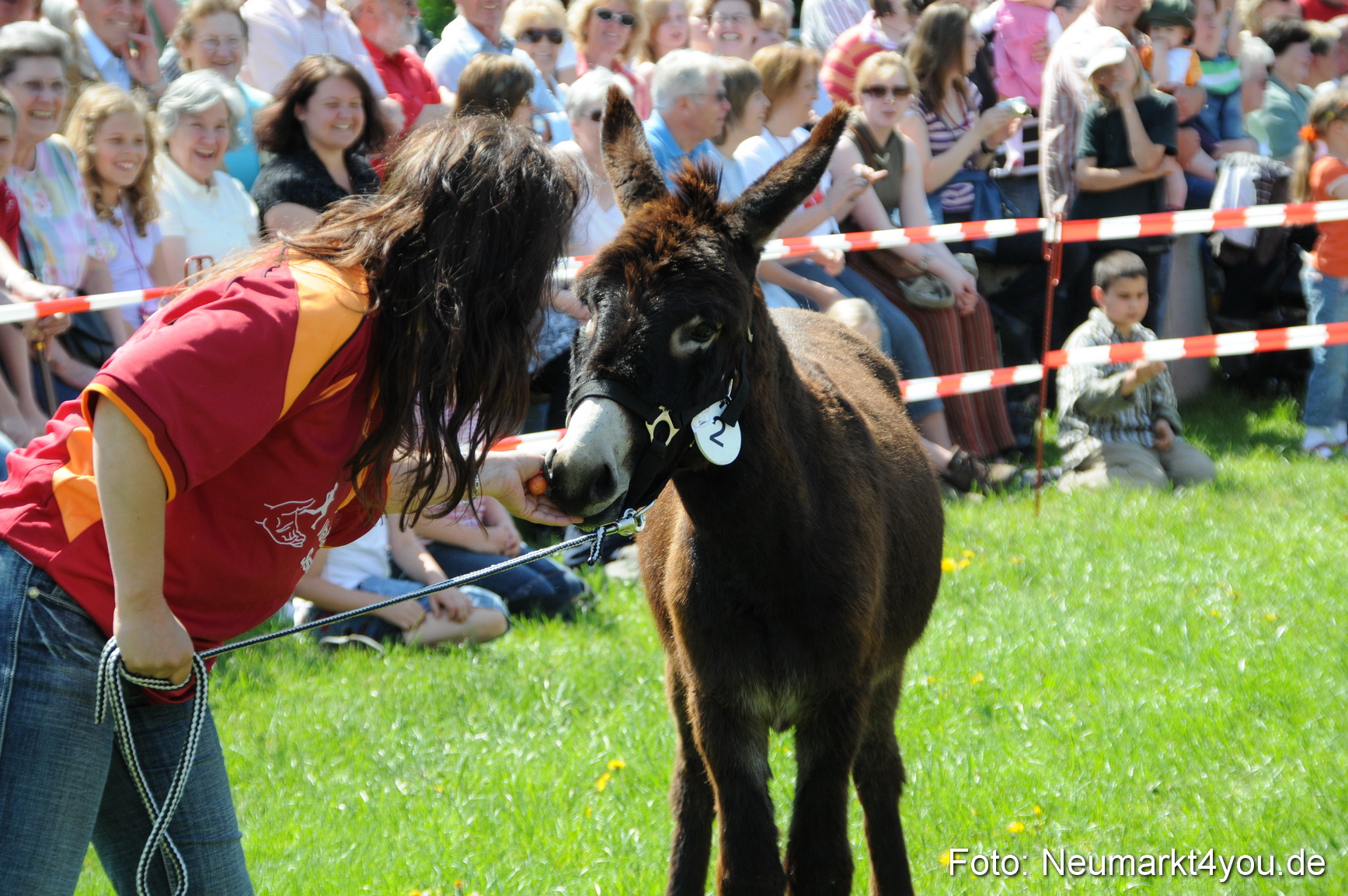 0063 Eselrennen Neumarkt 030509