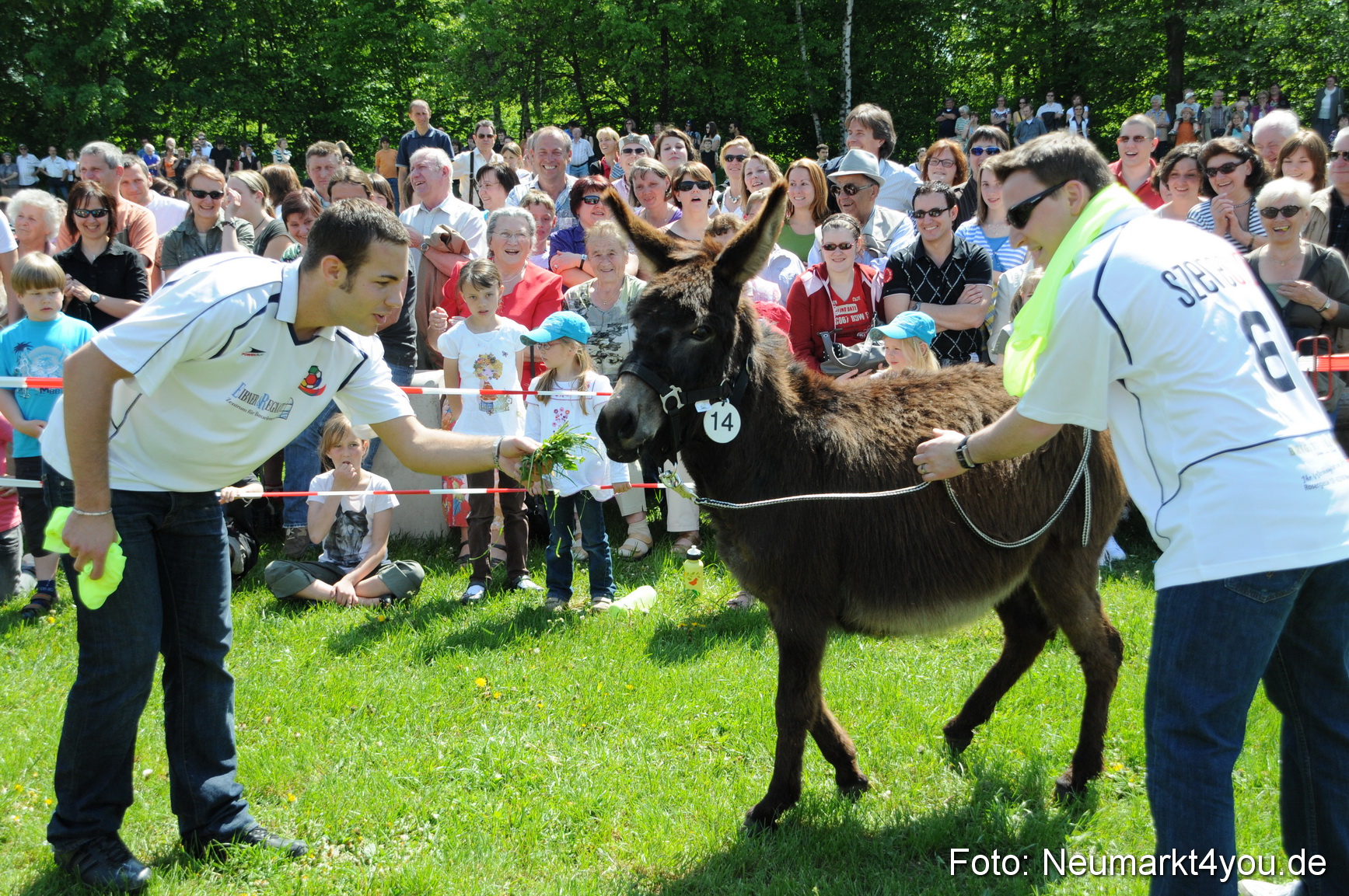 0065 Eselrennen Neumarkt 030509
