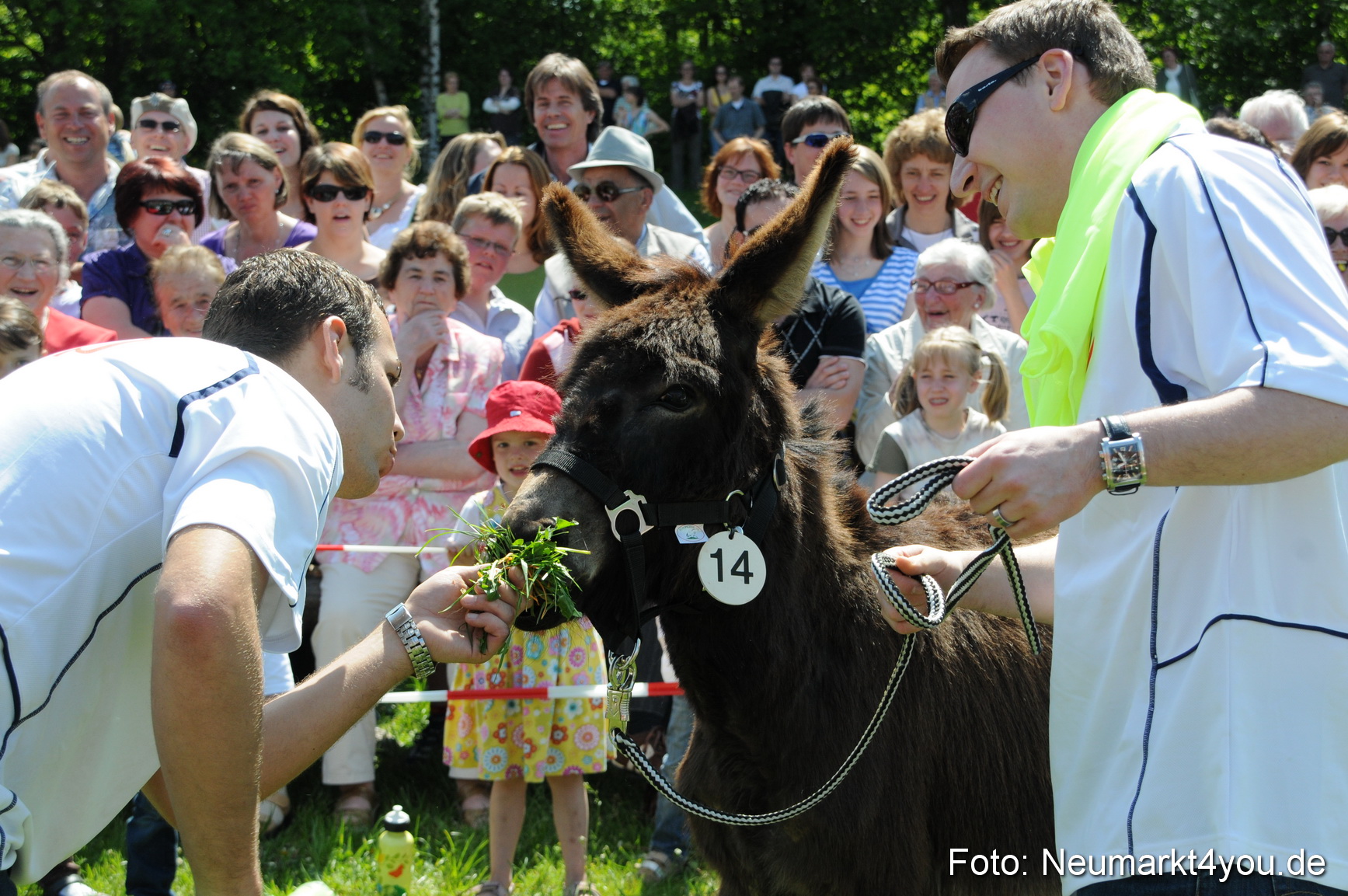 0066 Eselrennen Neumarkt 030509