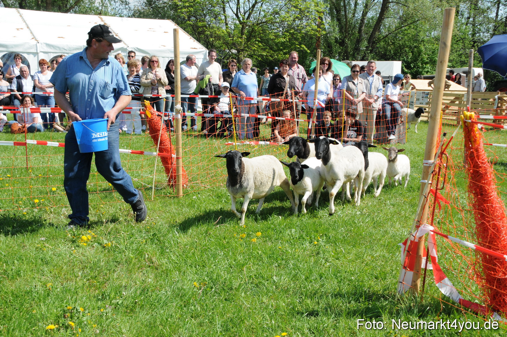 0080 Eselrennen Neumarkt 030509