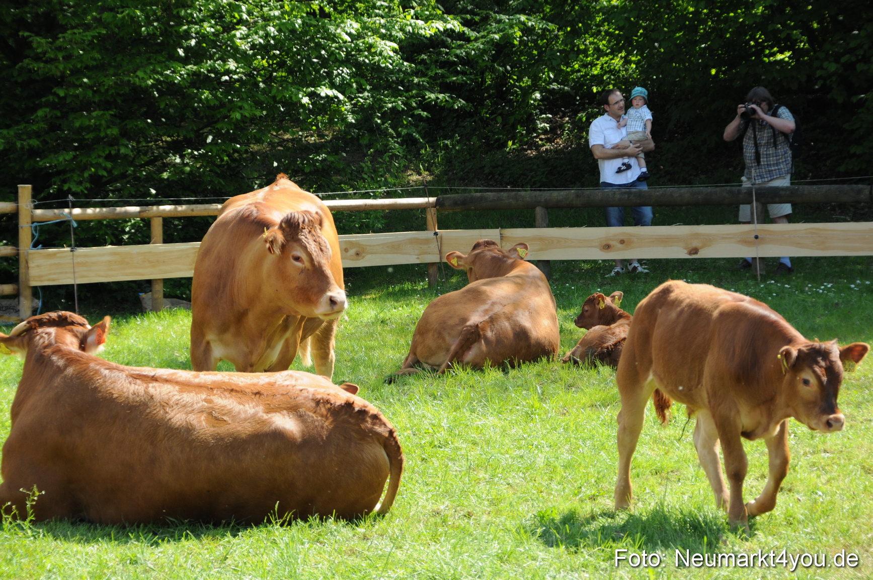 0102 Eselrennen Neumarkt 030509