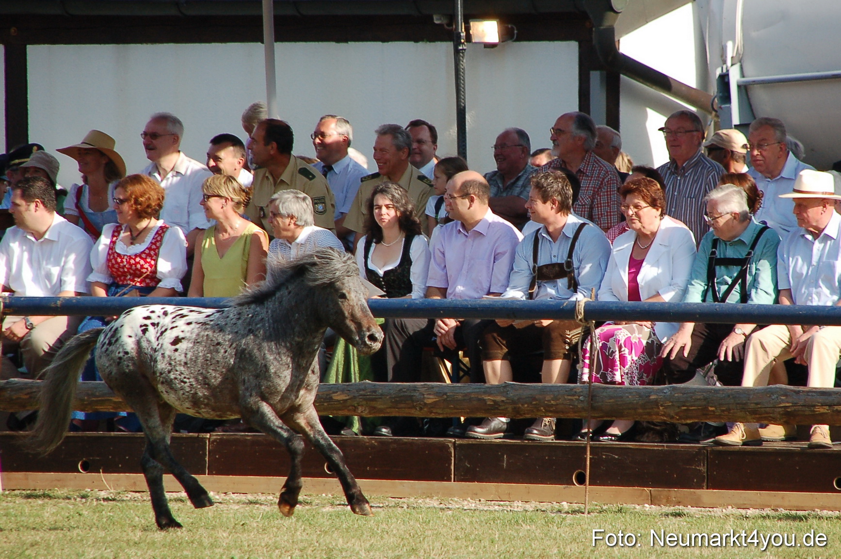 0002 Pferdeschau Volksfest 170809