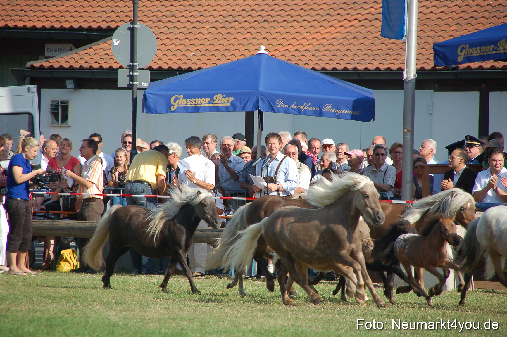 0005 Pferdeschau Volksfest 170809