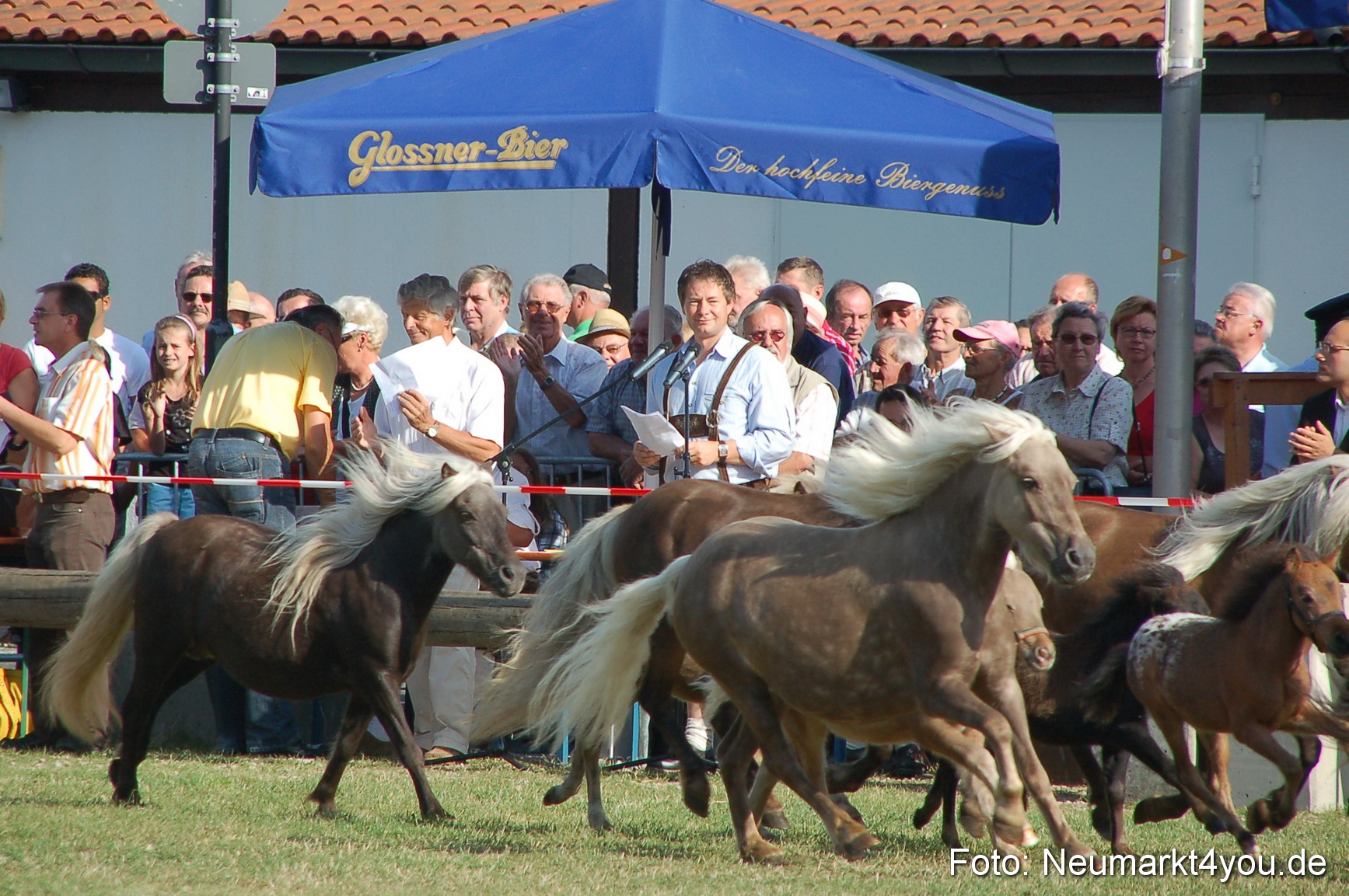 0006 Pferdeschau Volksfest 170809