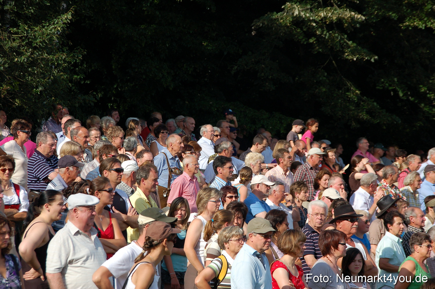 0009 Pferdeschau Volksfest 170809