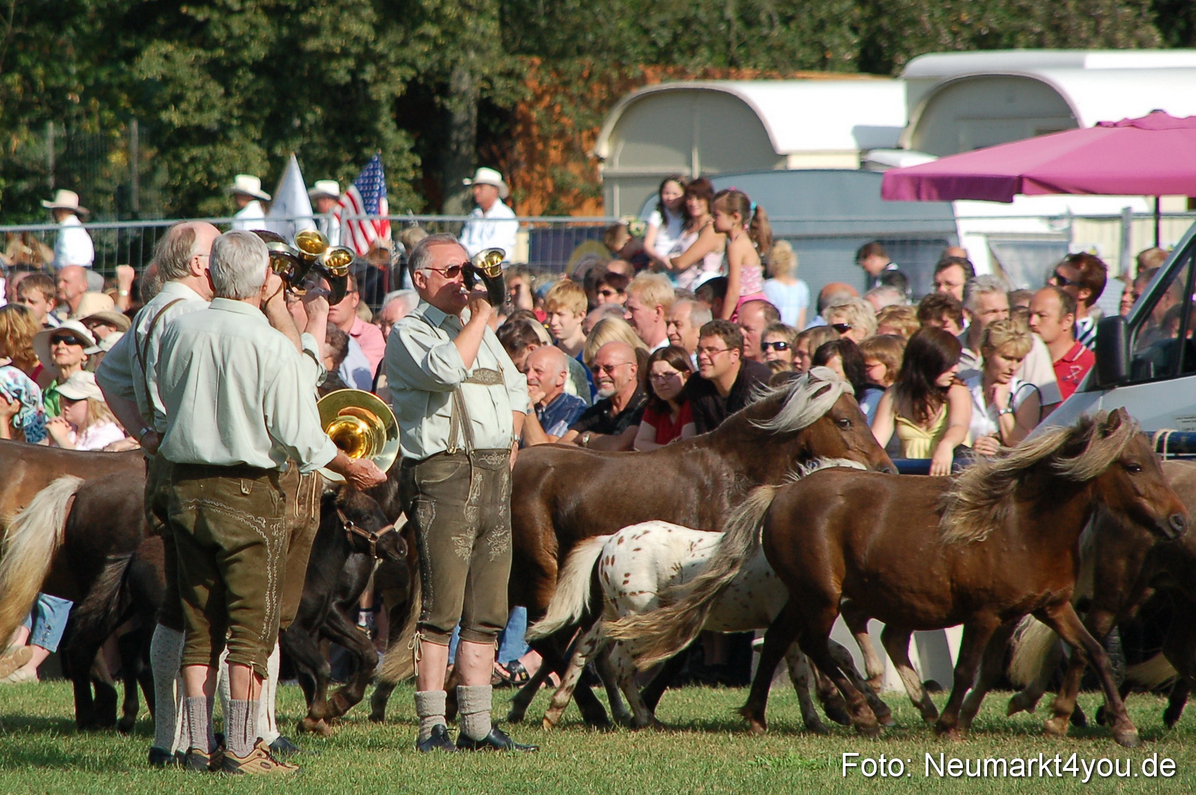 0013 Pferdeschau Volksfest 170809