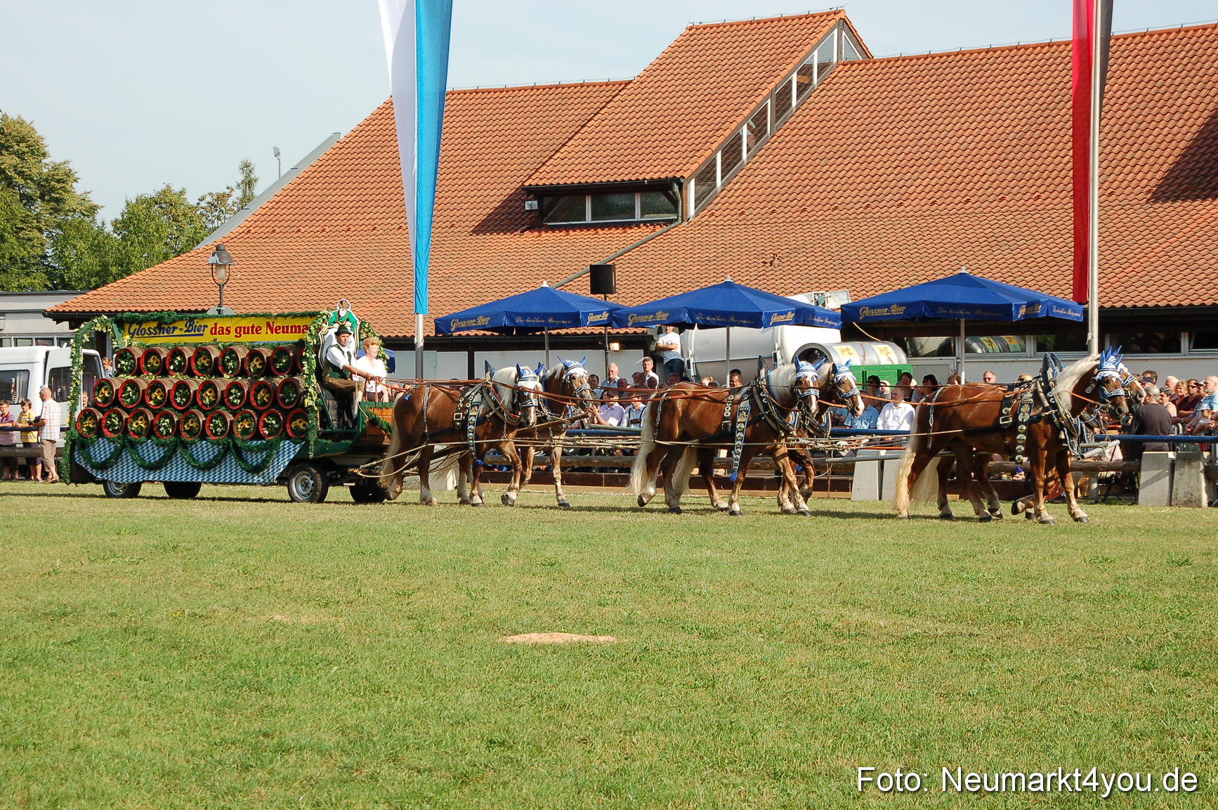 0014 Pferdeschau Volksfest 170809