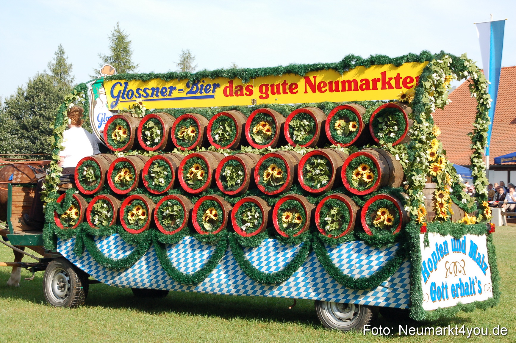 0018 Pferdeschau Volksfest 170809