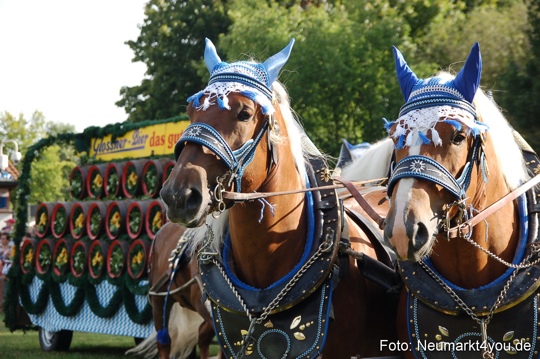 0020 Pferdeschau Volksfest 170809