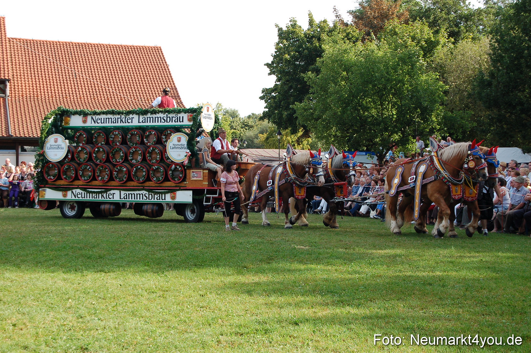 0021 Pferdeschau Volksfest 170809