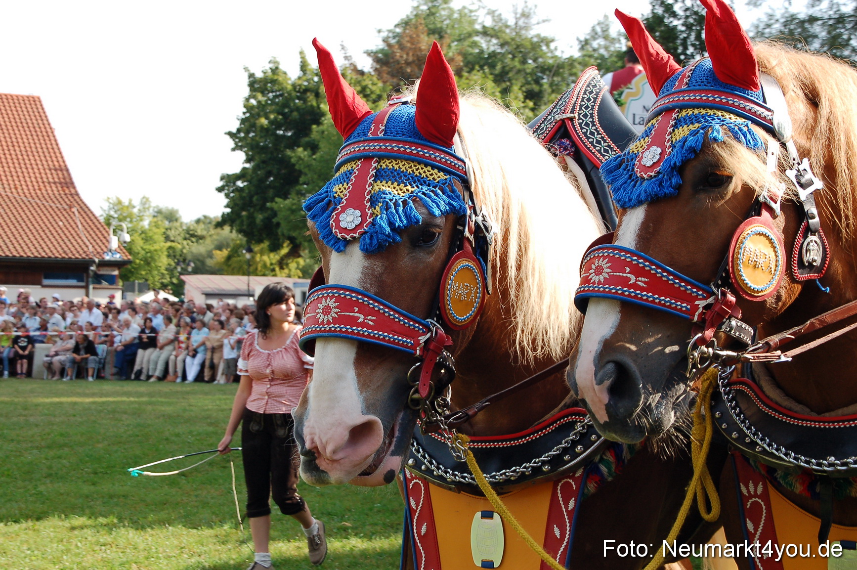 0022 Pferdeschau Volksfest 170809