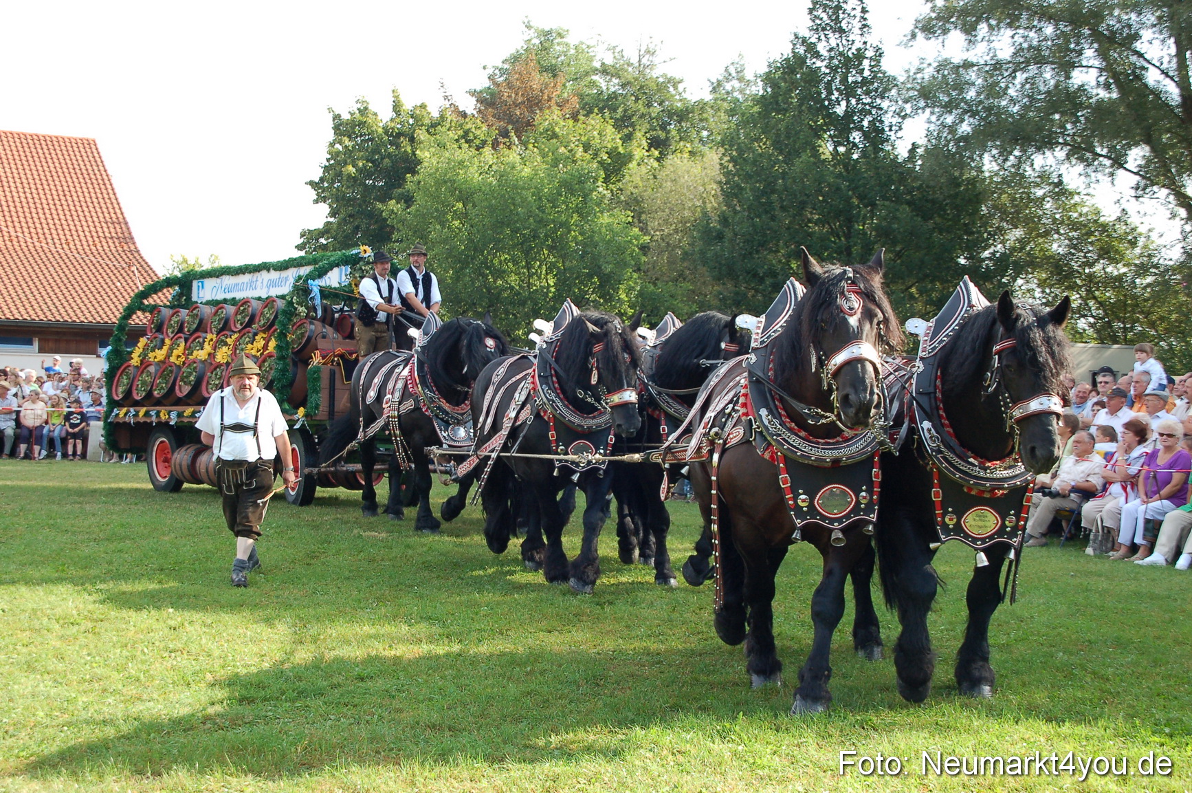 0025 Pferdeschau Volksfest 170809