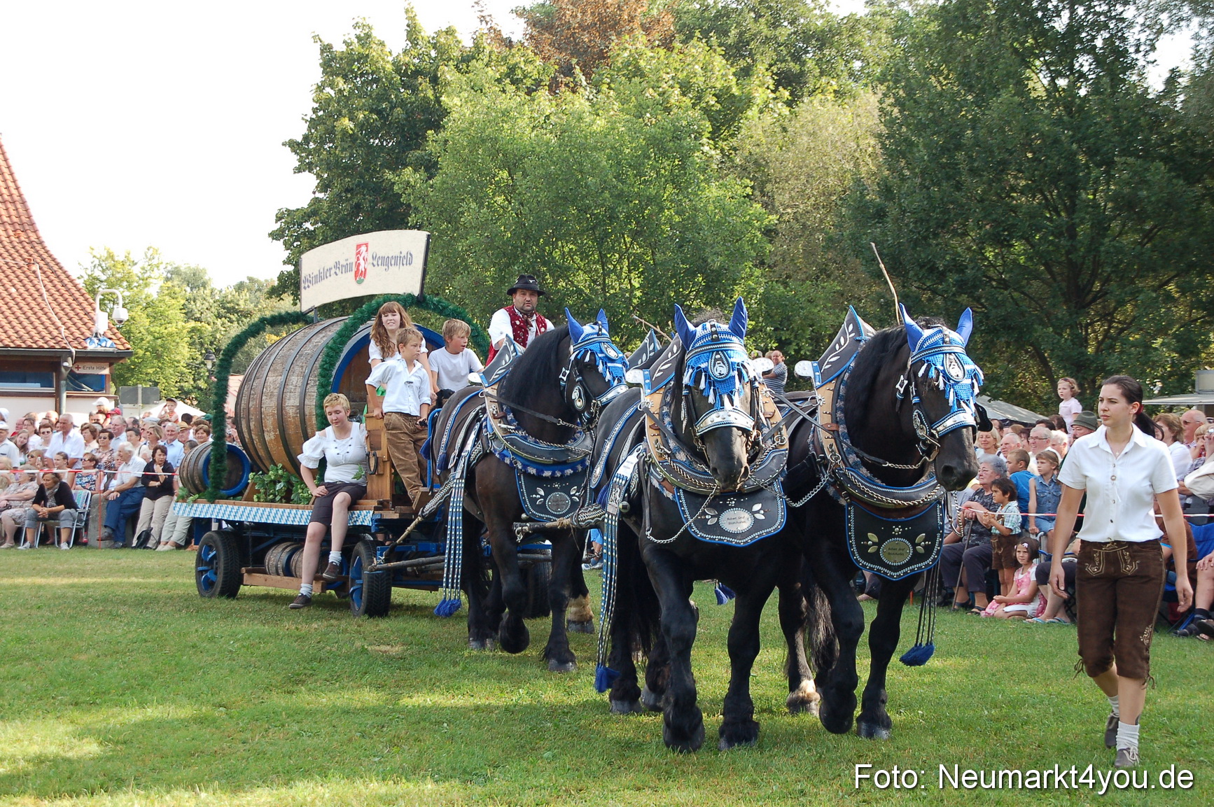0028 Pferdeschau Volksfest 170809