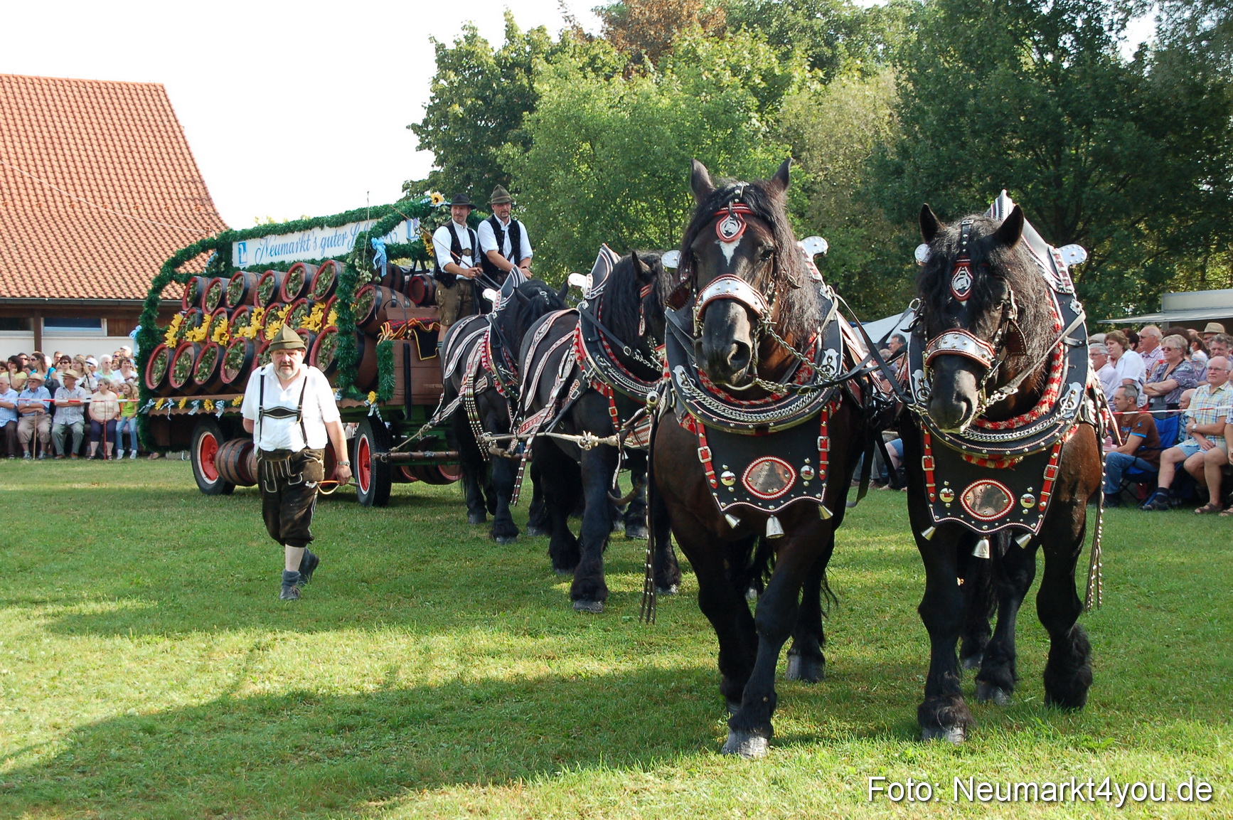 0030 Pferdeschau Volksfest 170809