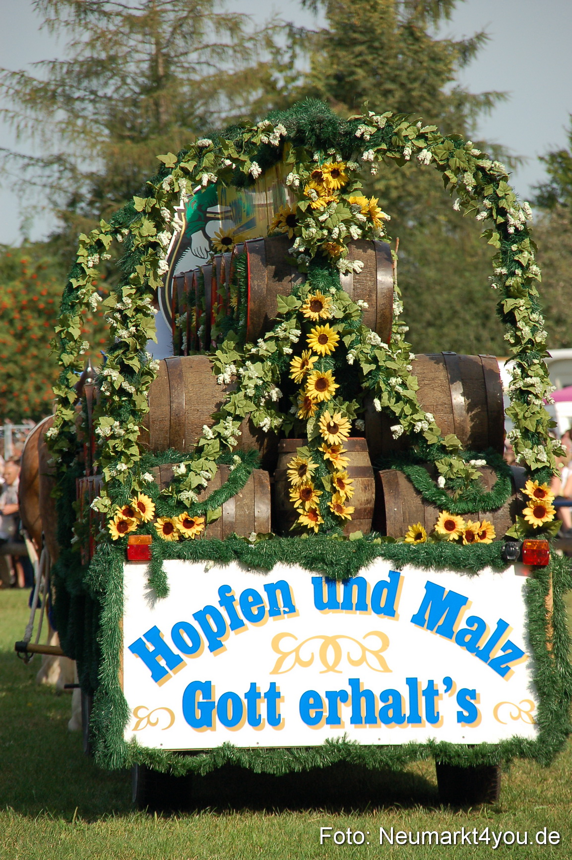 0033 Pferdeschau Volksfest 170809