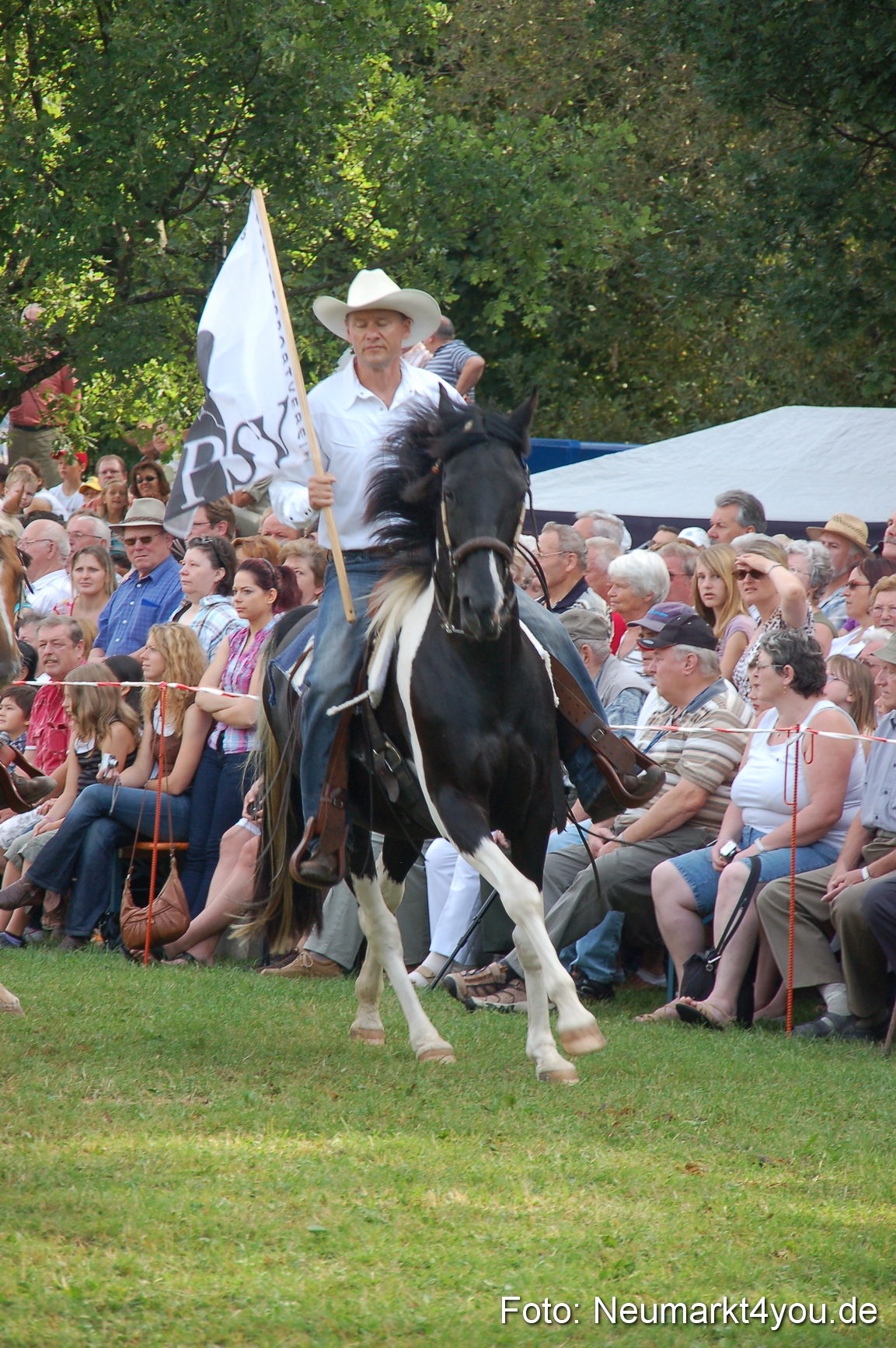 0039 Pferdeschau Volksfest 170809