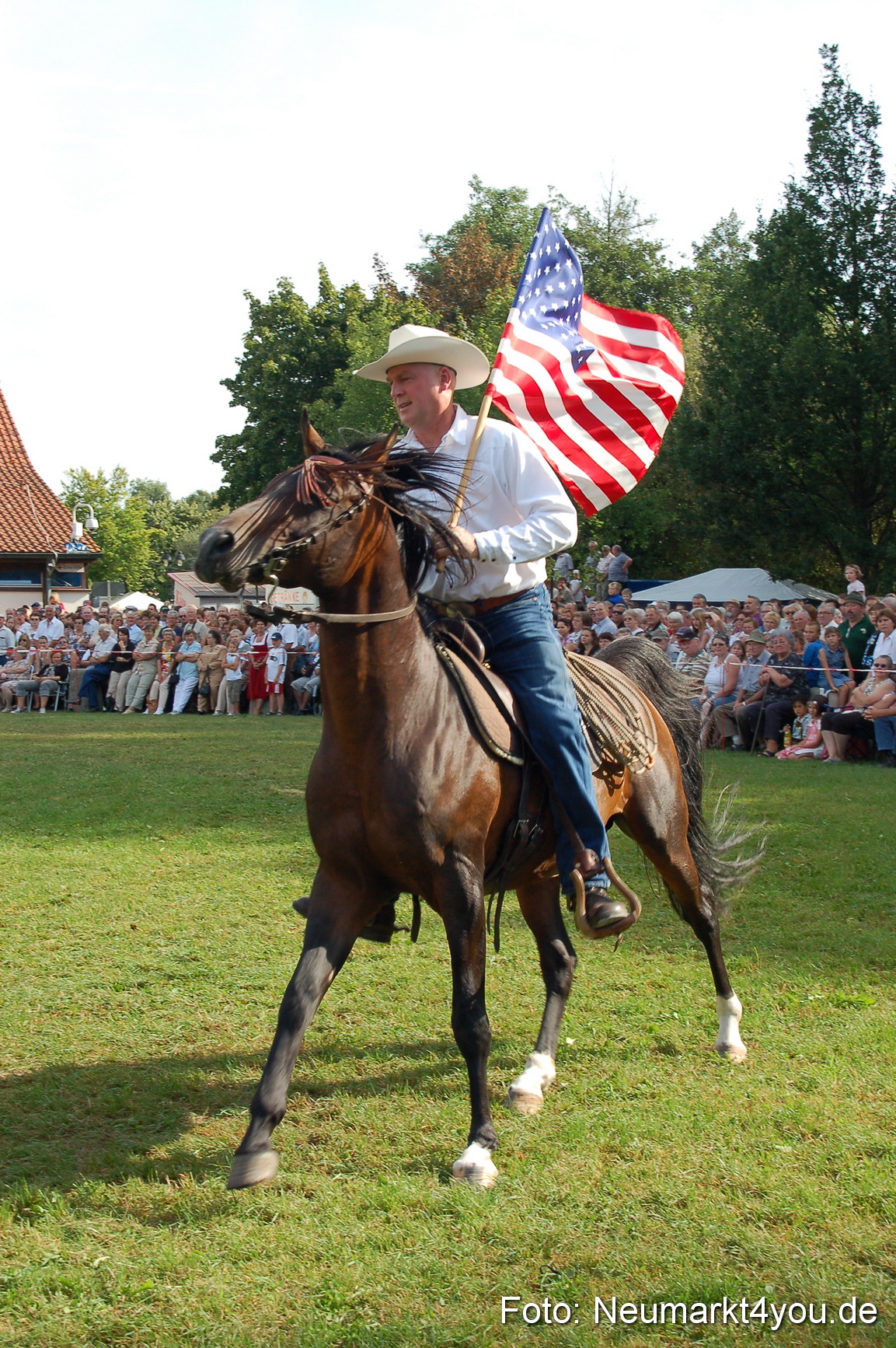 0040 Pferdeschau Volksfest 170809
