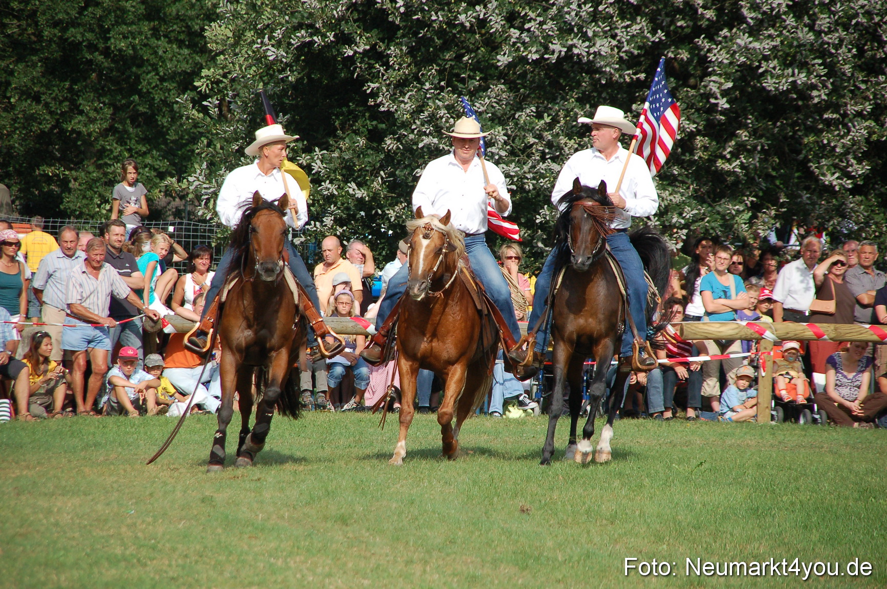 0044 Pferdeschau Volksfest 170809