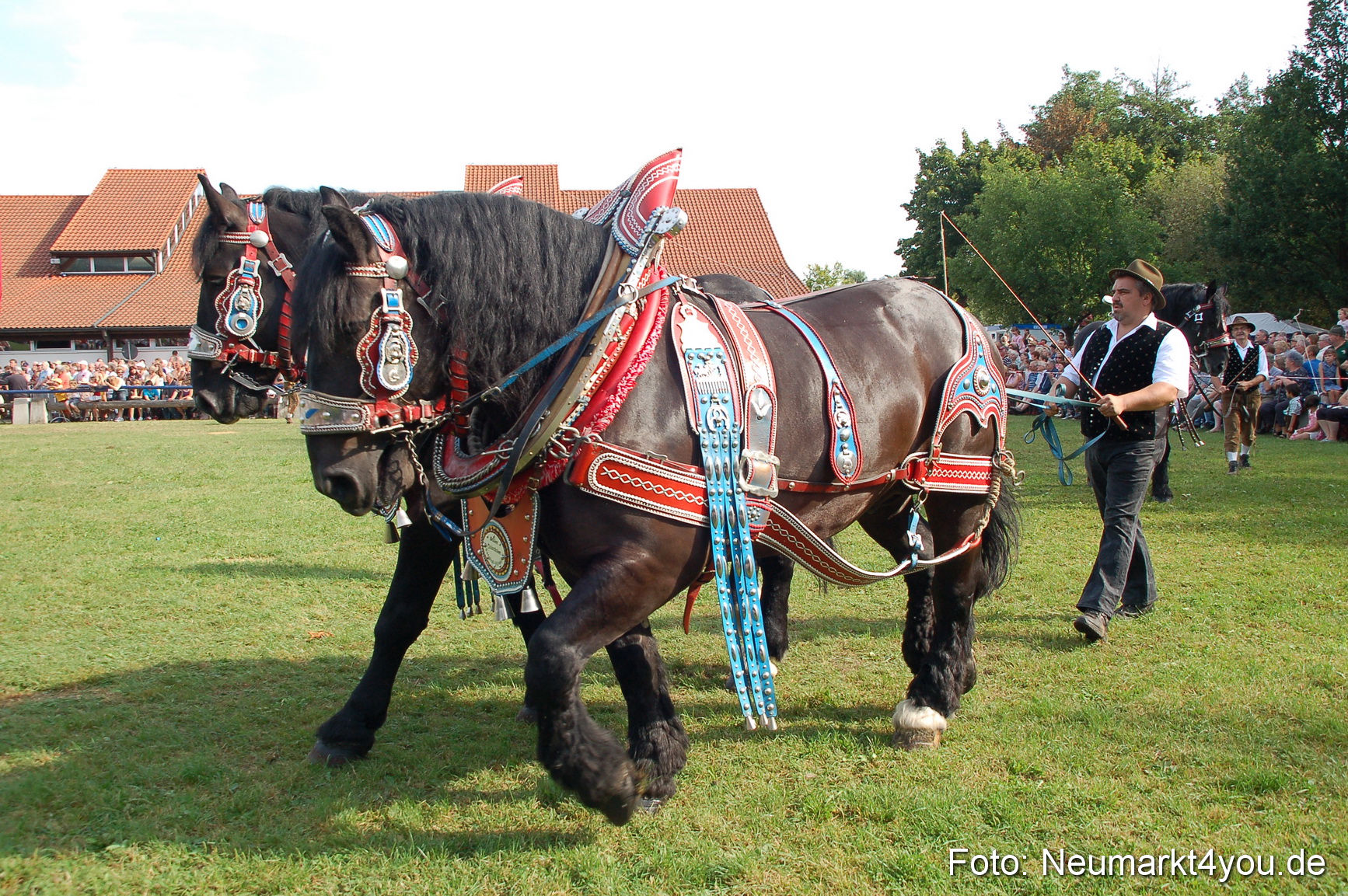 0051 Pferdeschau Volksfest 170809