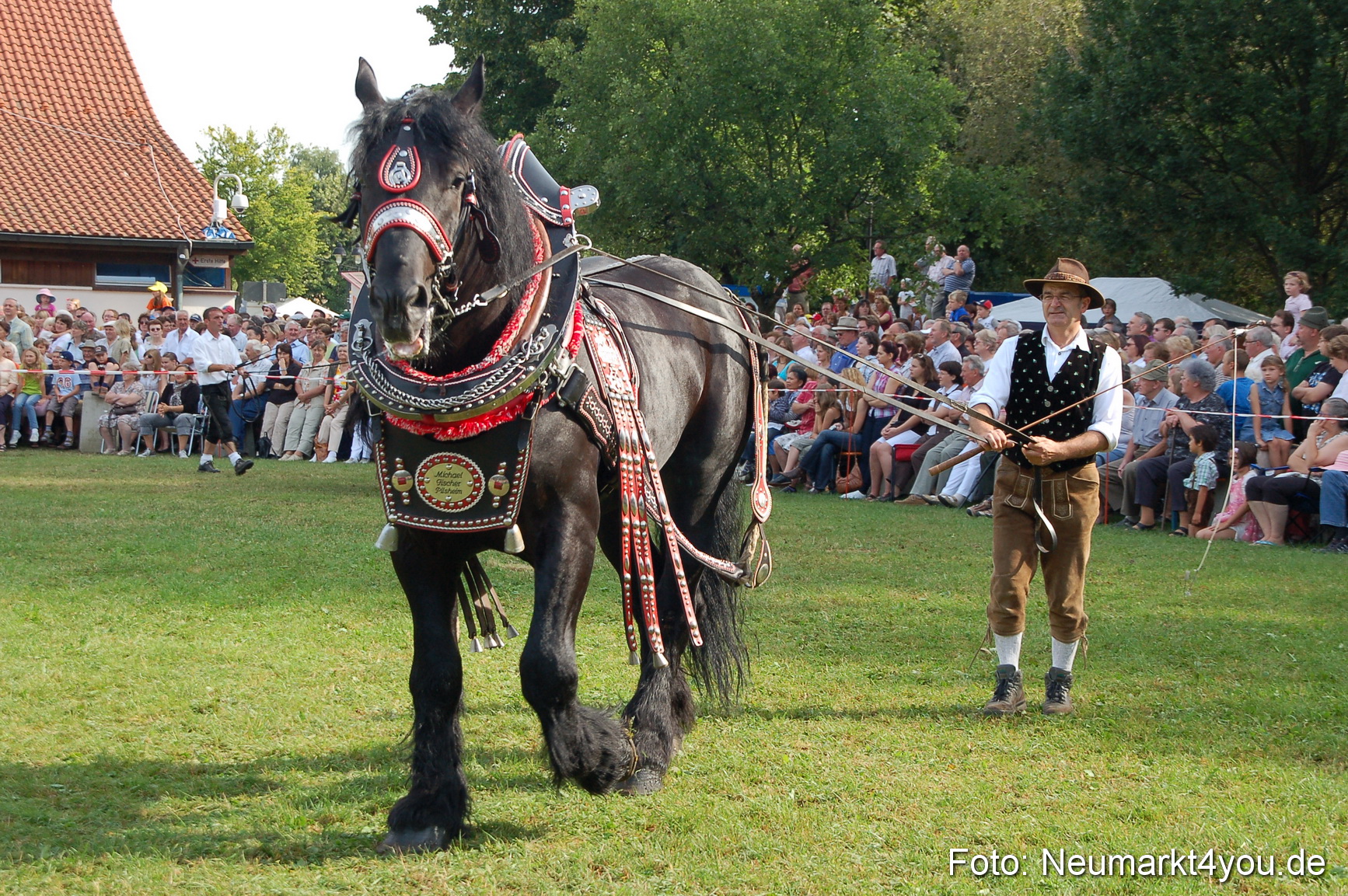 0052 Pferdeschau Volksfest 170809