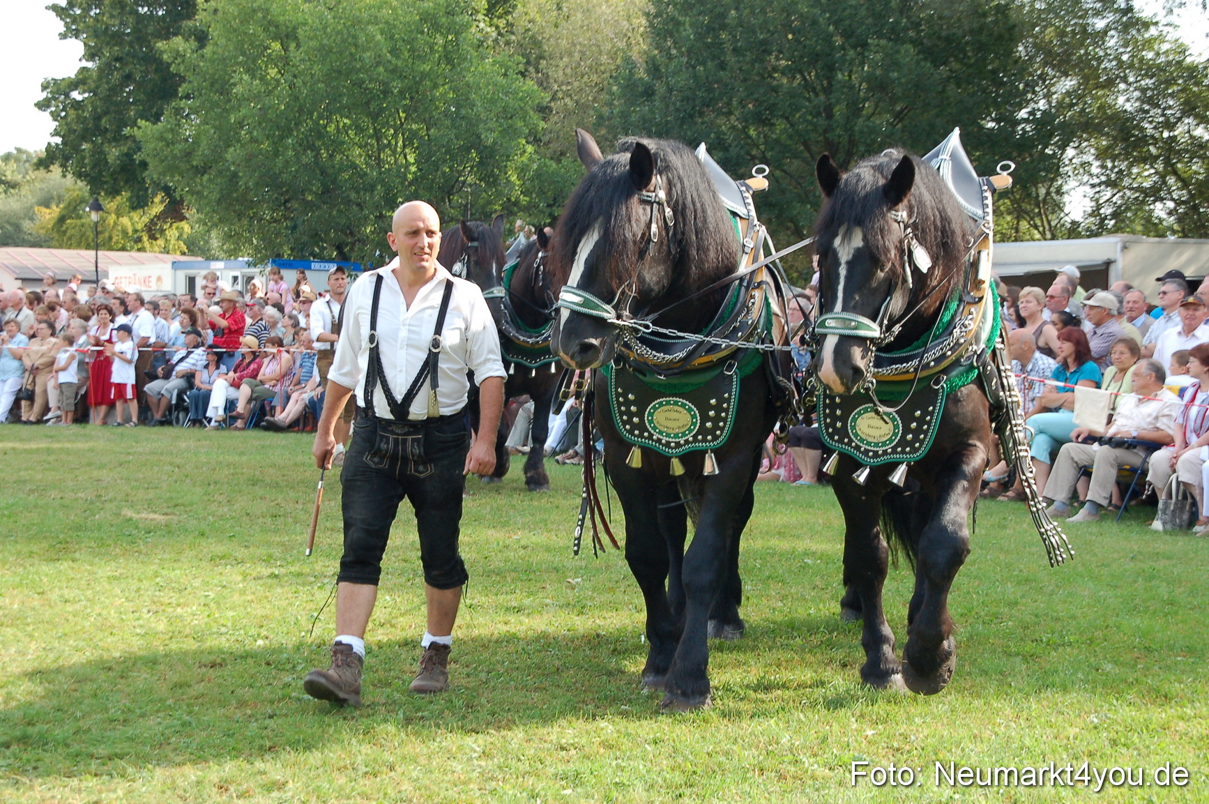 0053 Pferdeschau Volksfest 170809