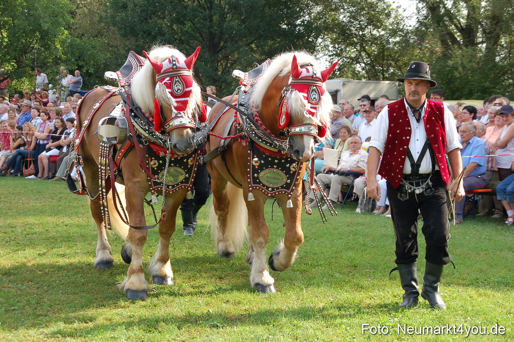 0055 Pferdeschau Volksfest 170809
