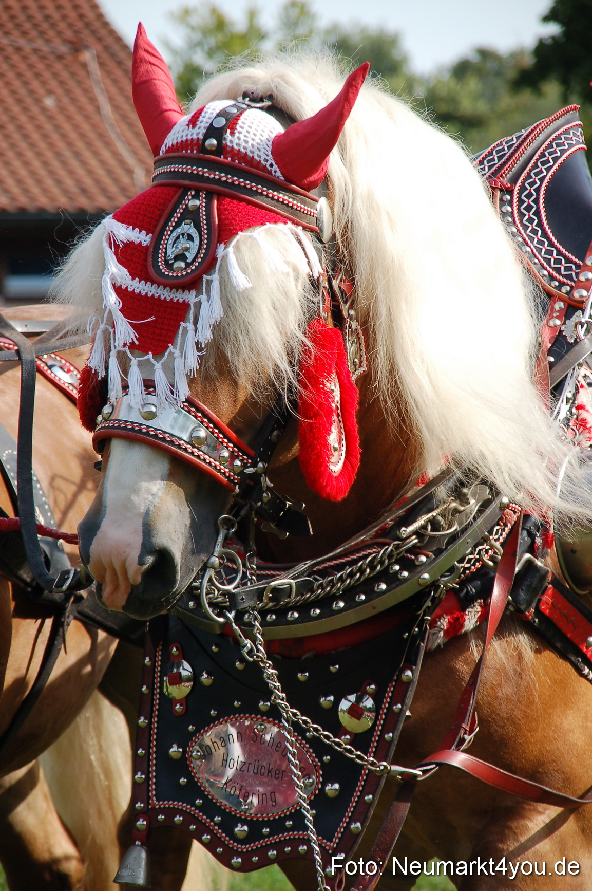 0057 Pferdeschau Volksfest 170809