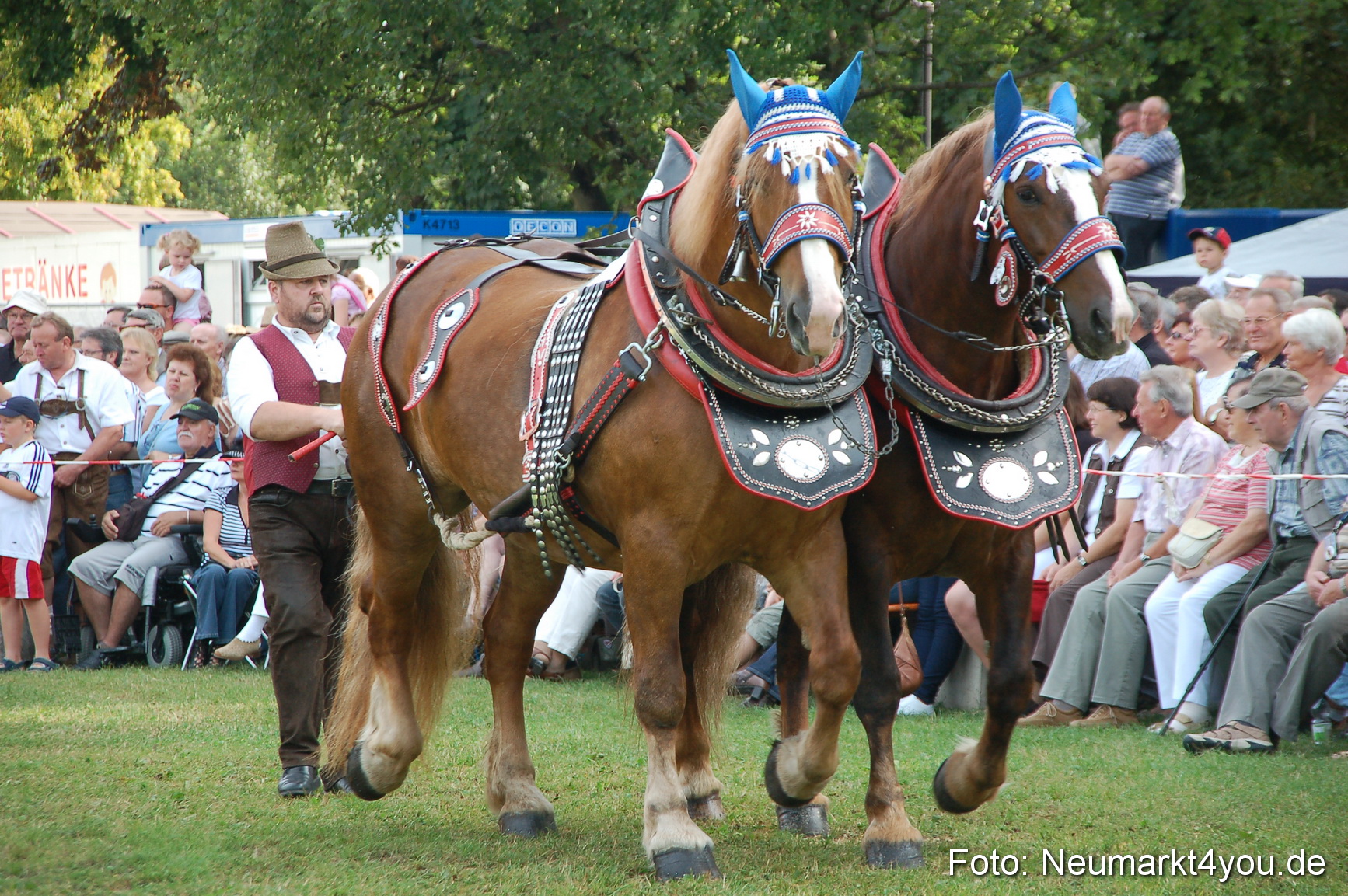 0058 Pferdeschau Volksfest 170809