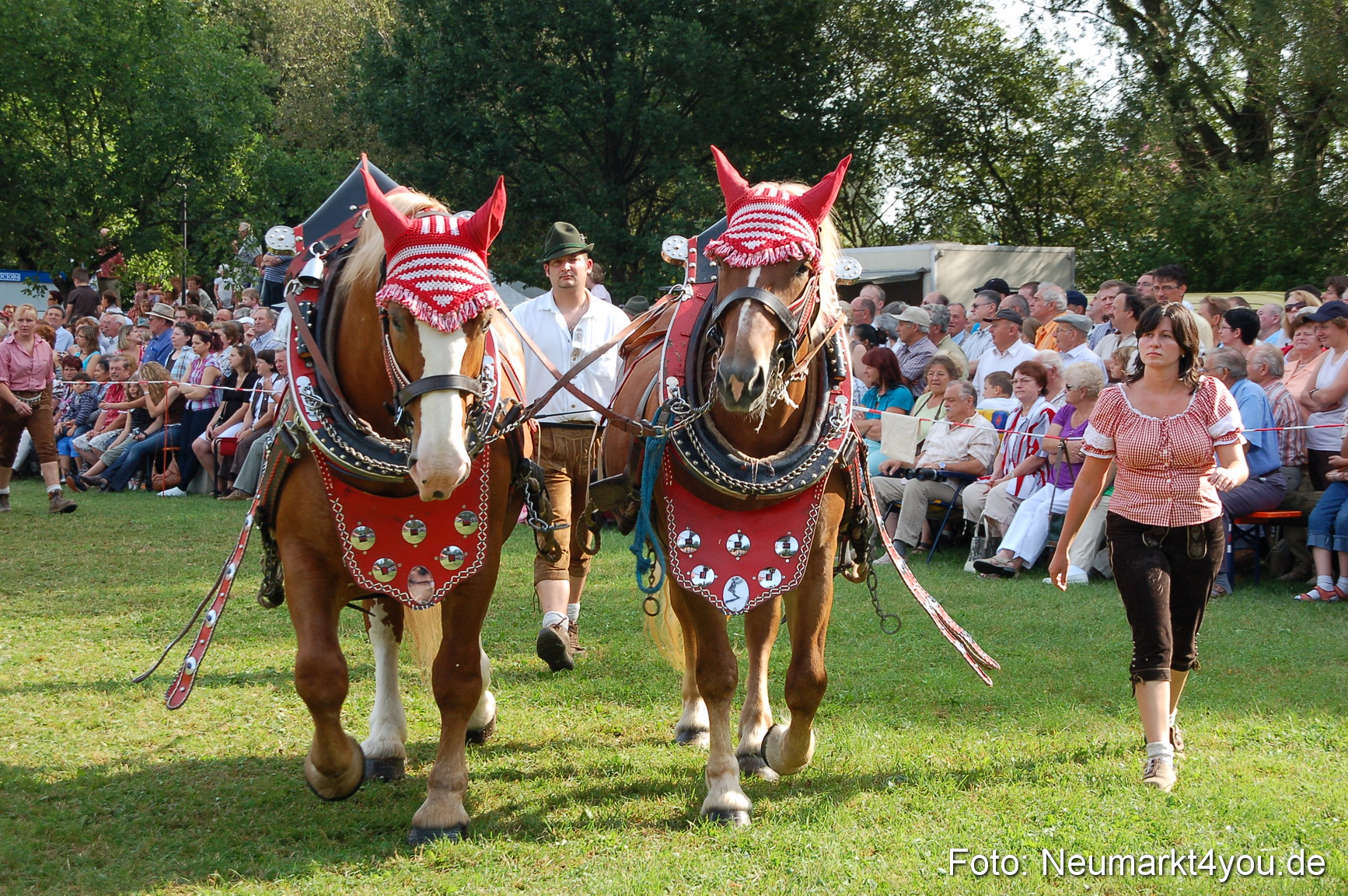 0059 Pferdeschau Volksfest 170809