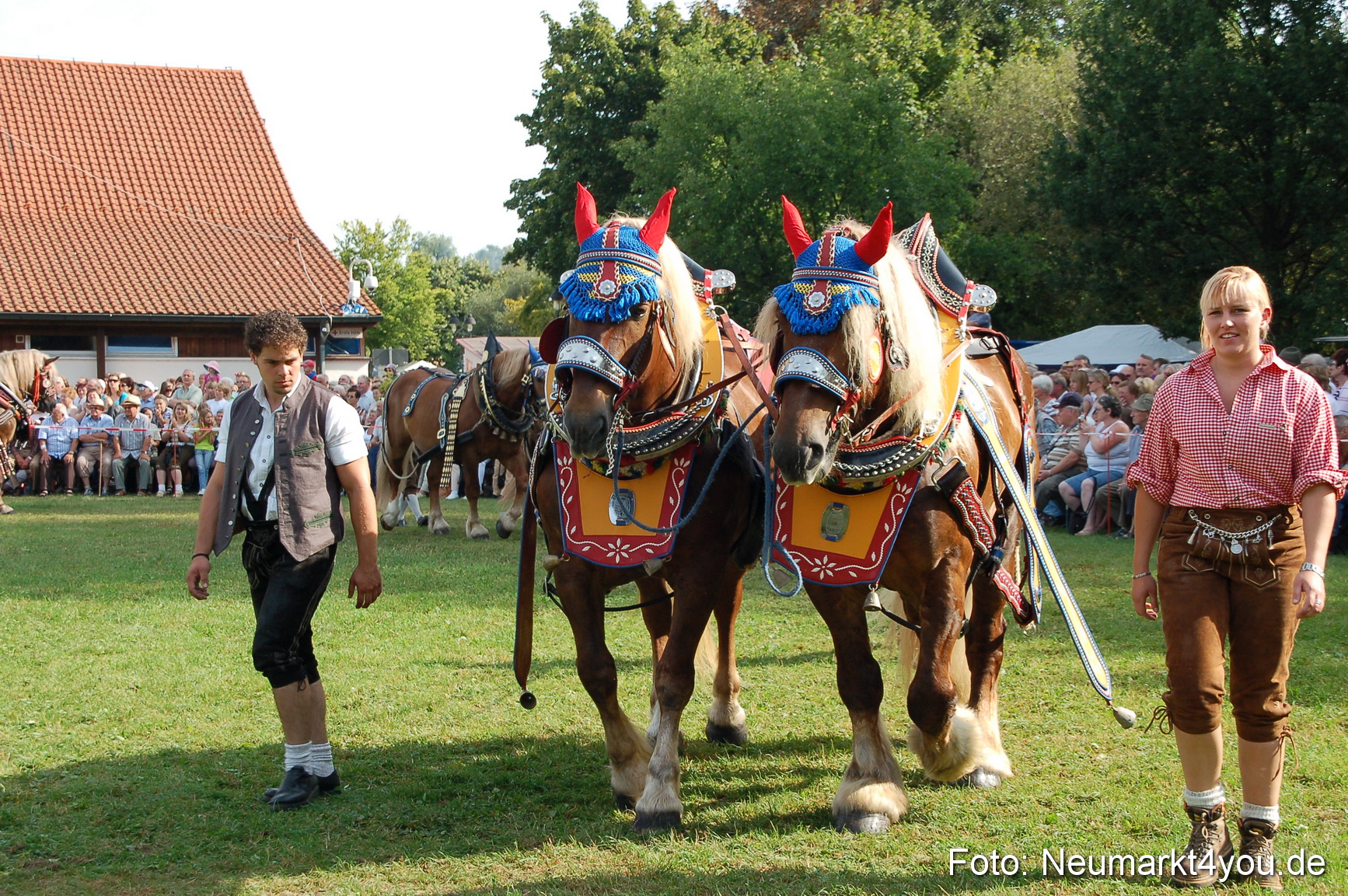 0060 Pferdeschau Volksfest 170809