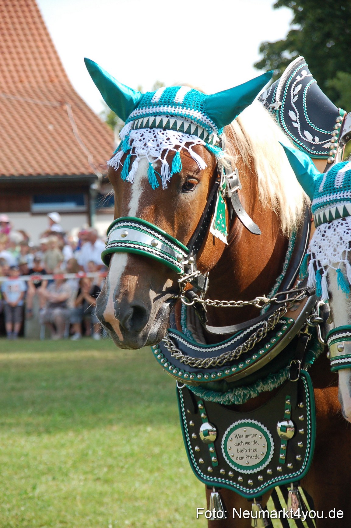 0065 Pferdeschau Volksfest 170809