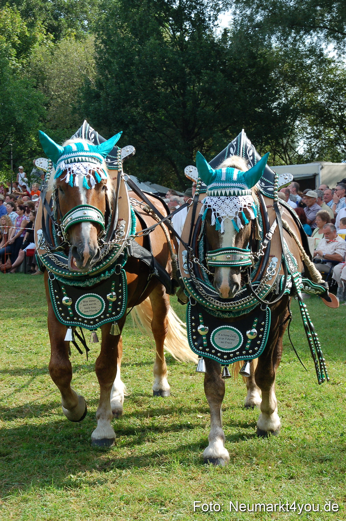 0066 Pferdeschau Volksfest 170809
