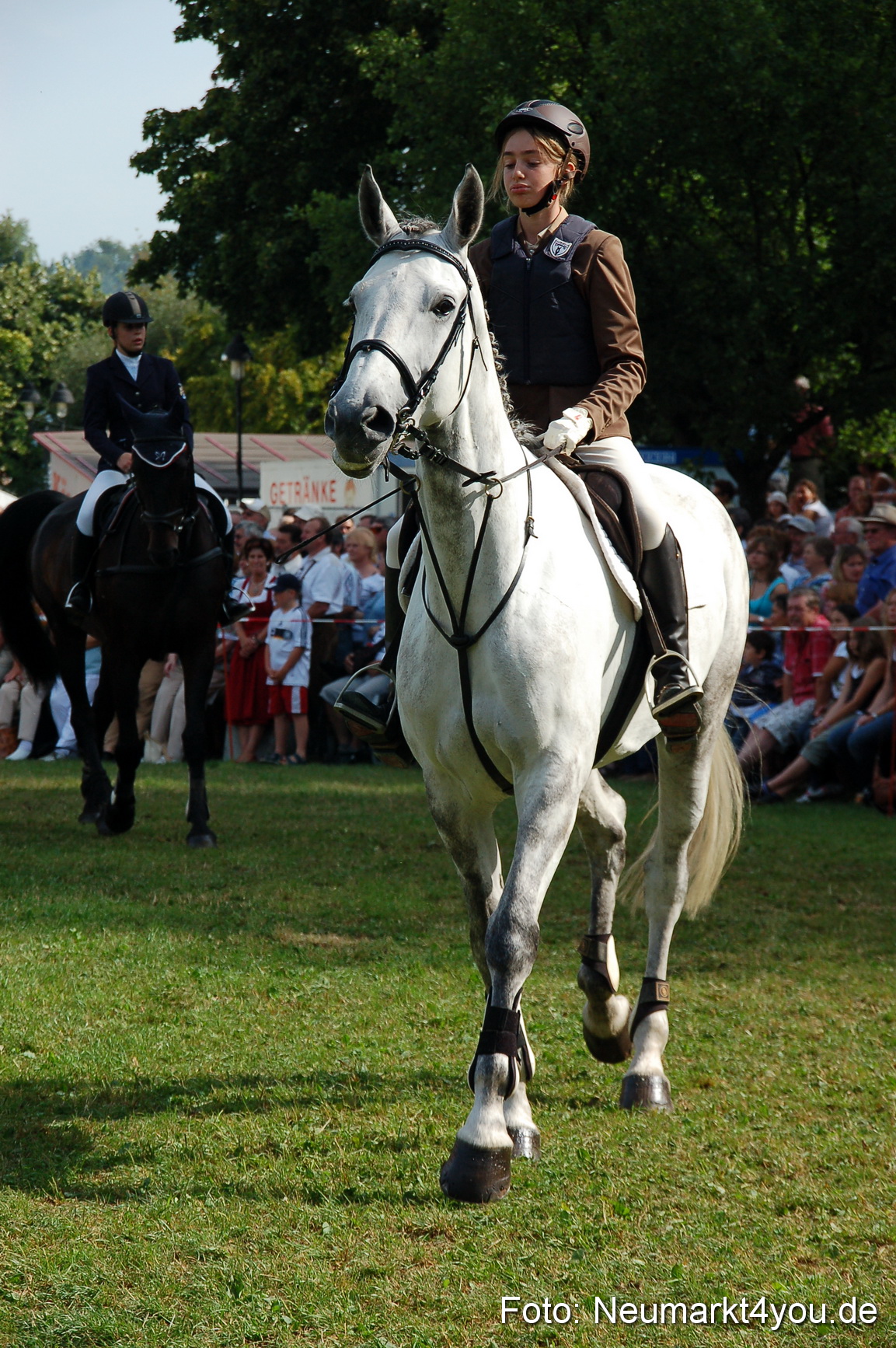 0071 Pferdeschau Volksfest 170809