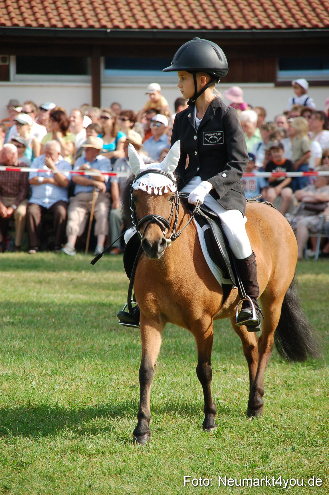 0072 Pferdeschau Volksfest 170809