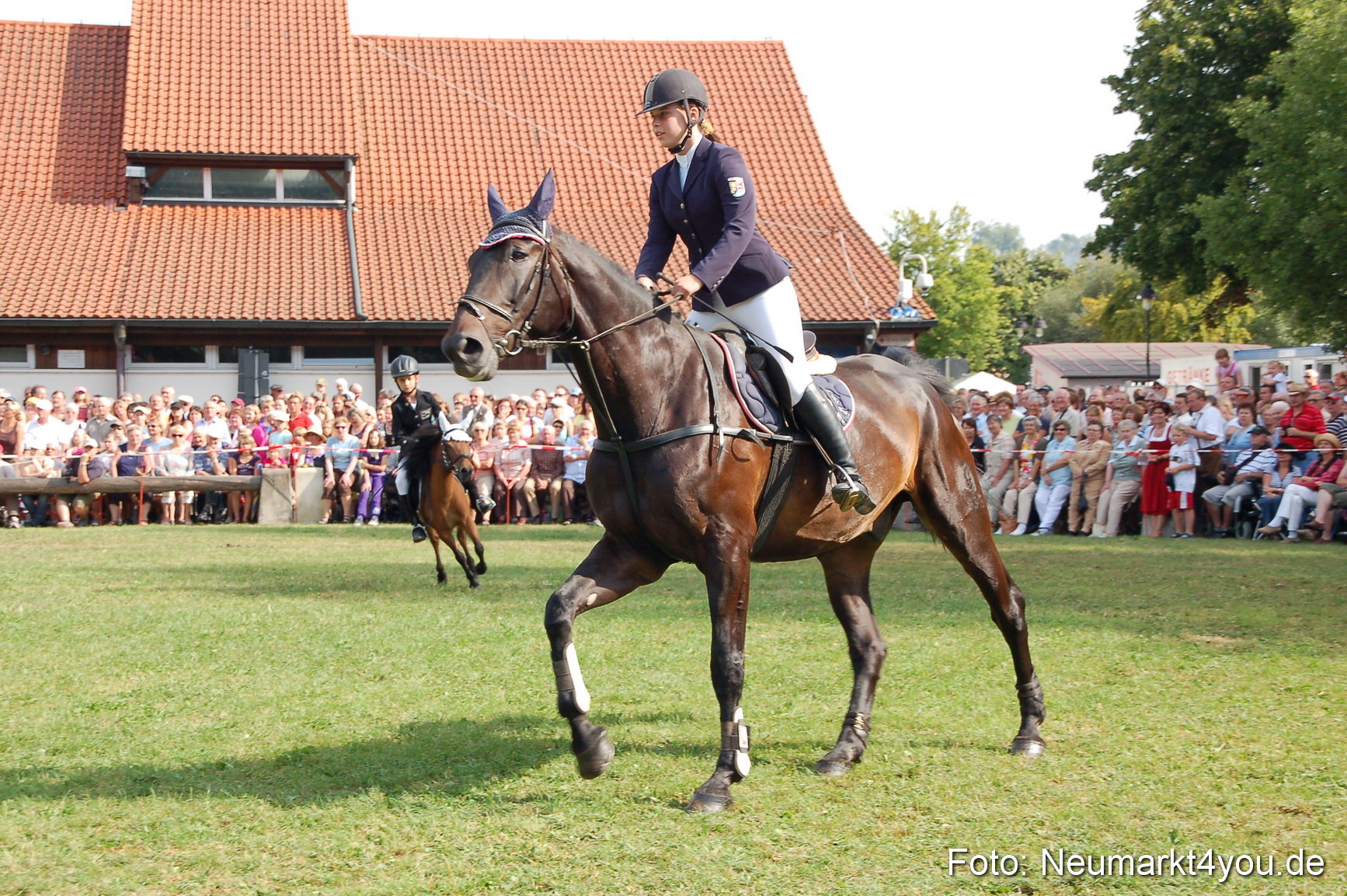 0073 Pferdeschau Volksfest 170809