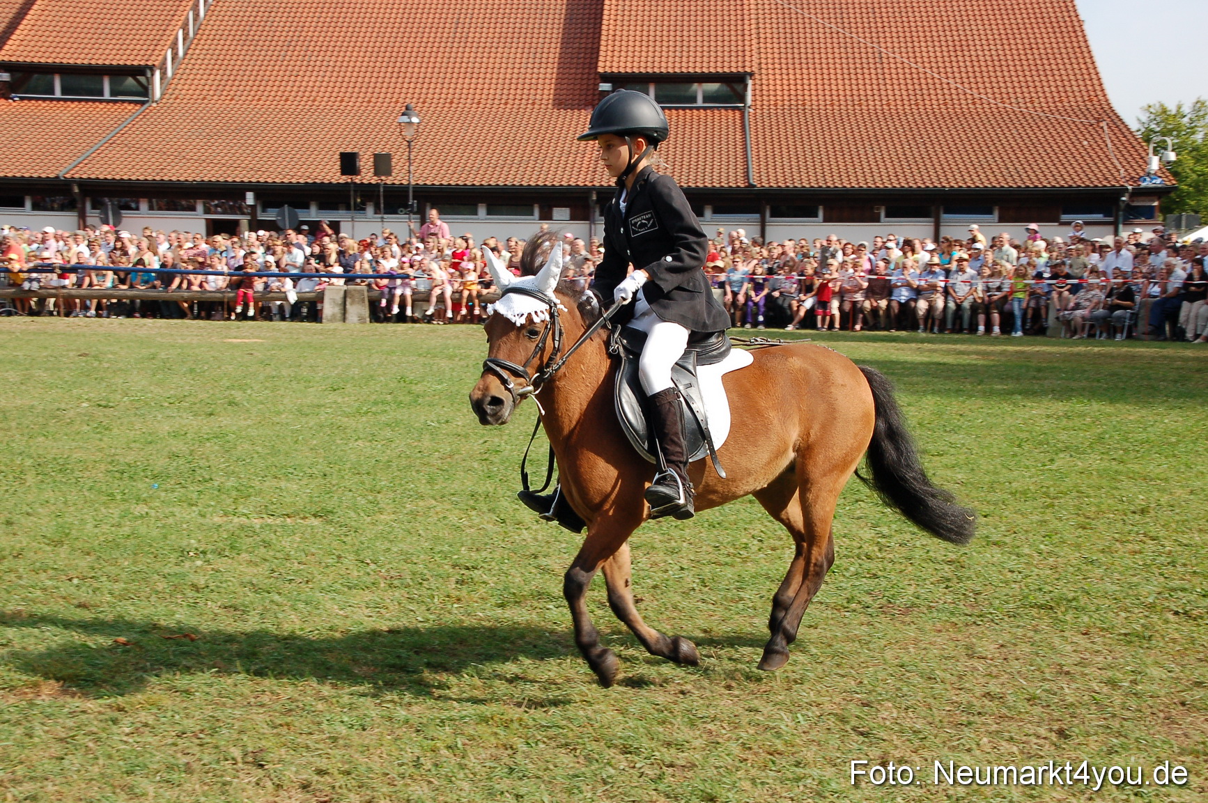 0074 Pferdeschau Volksfest 170809