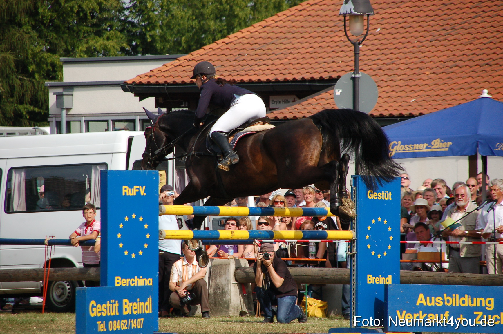 0080 Pferdeschau Volksfest 170809