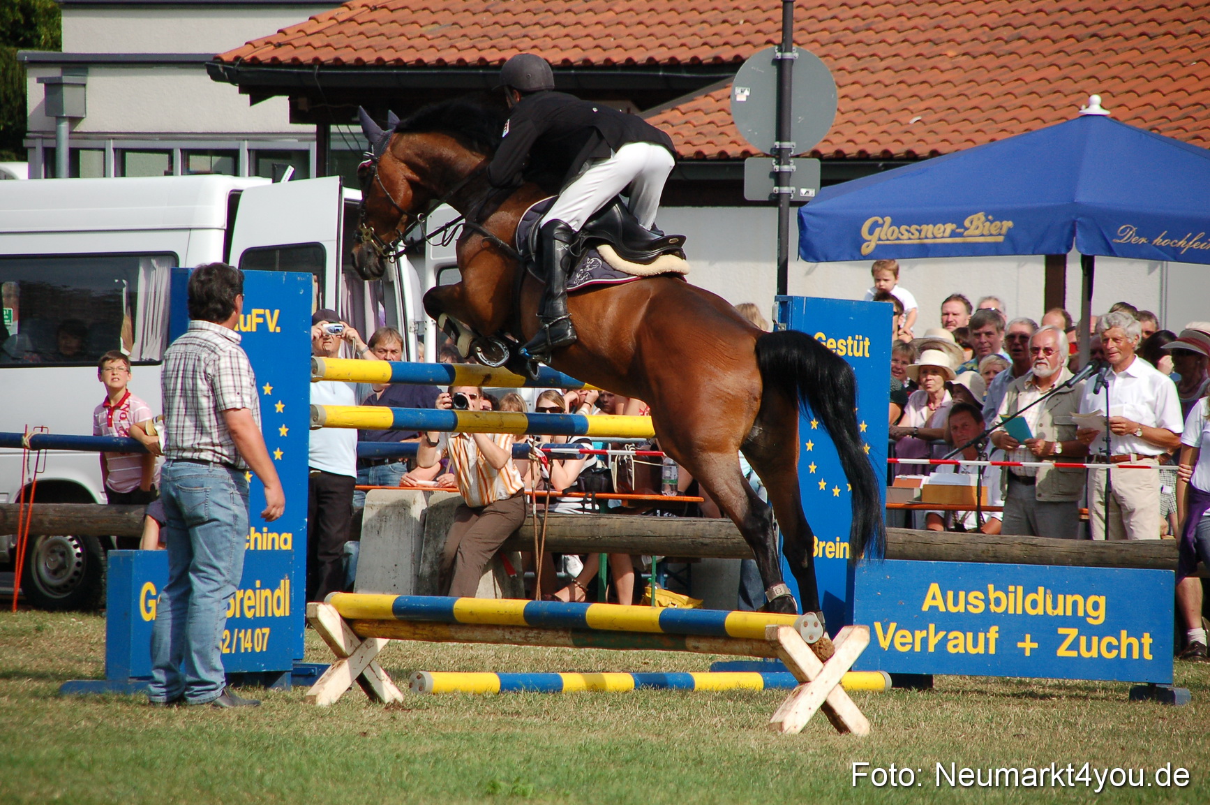 0082 Pferdeschau Volksfest 170809