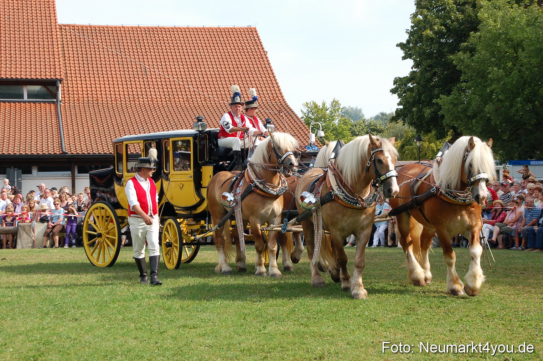 0084 Pferdeschau Volksfest 170809