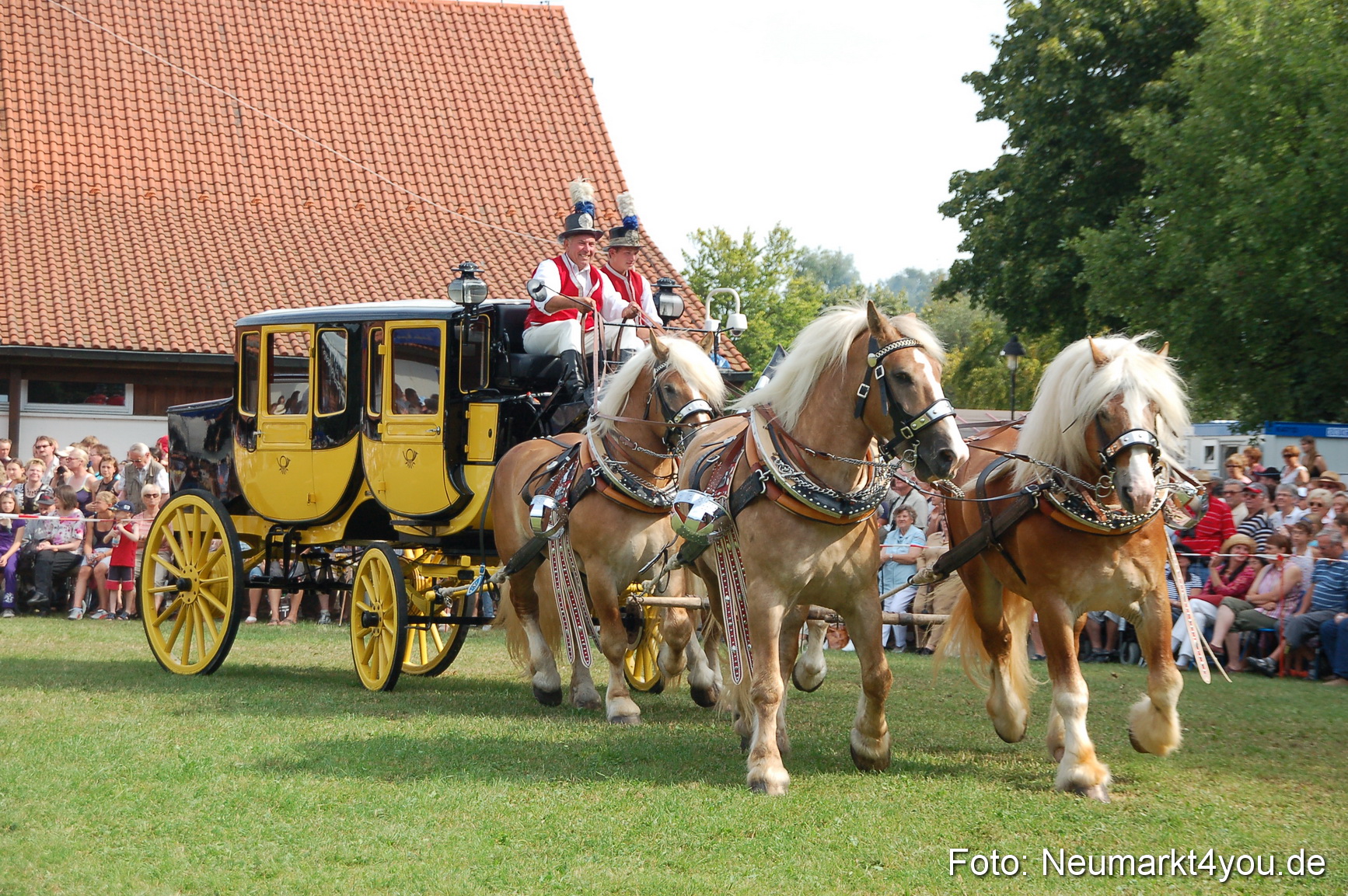 0087 Pferdeschau Volksfest 170809