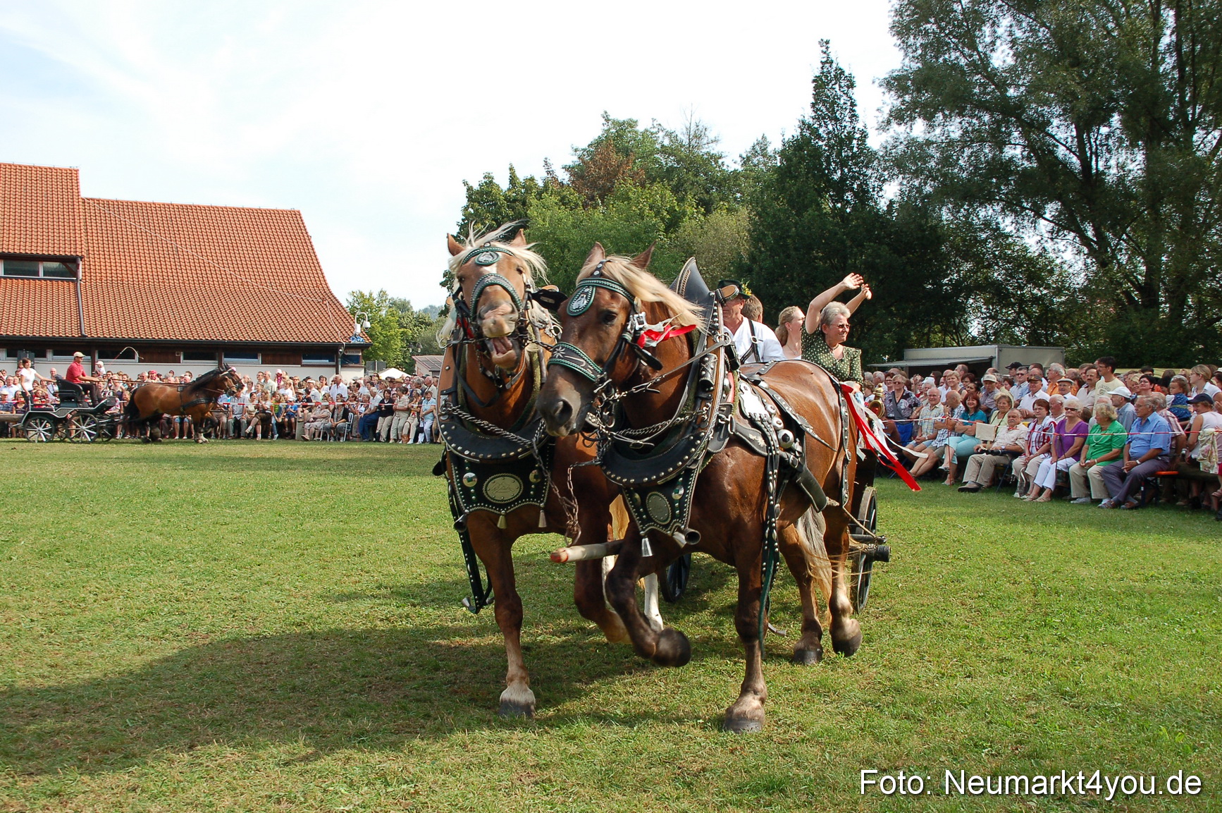 0088 Pferdeschau Volksfest 170809