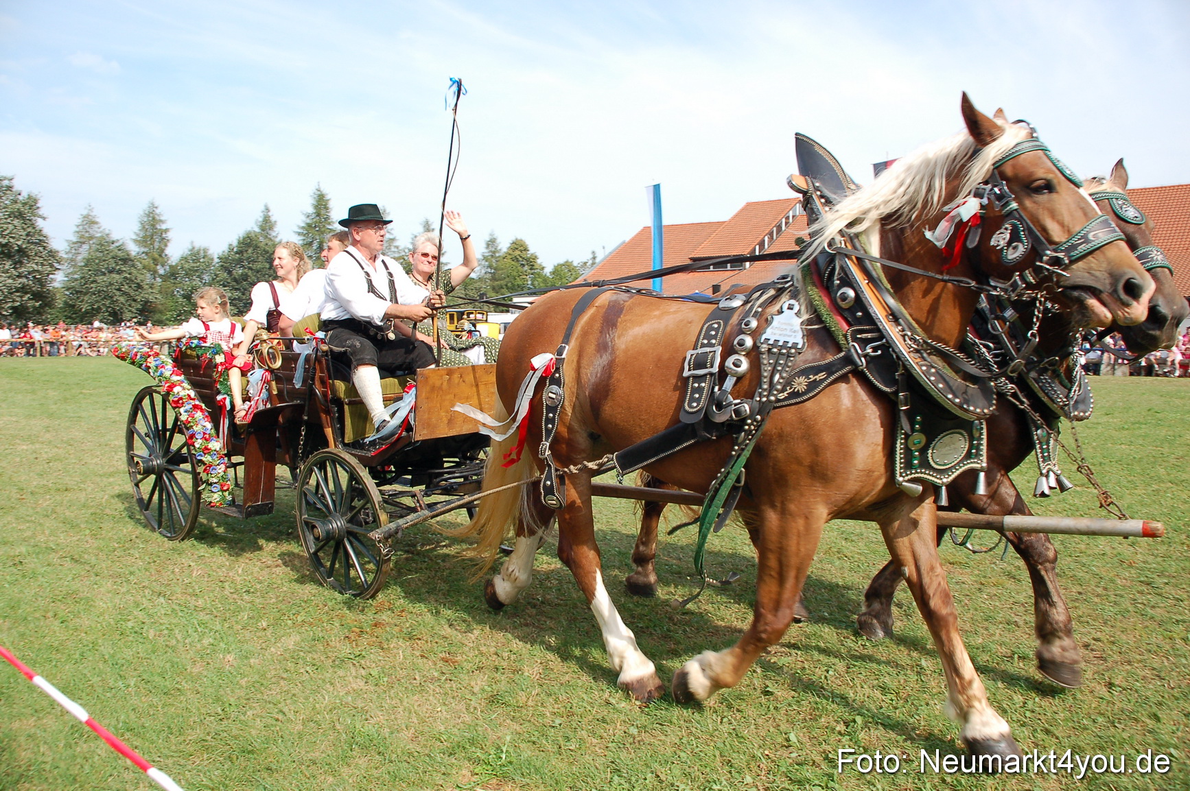 0091 Pferdeschau Volksfest 170809